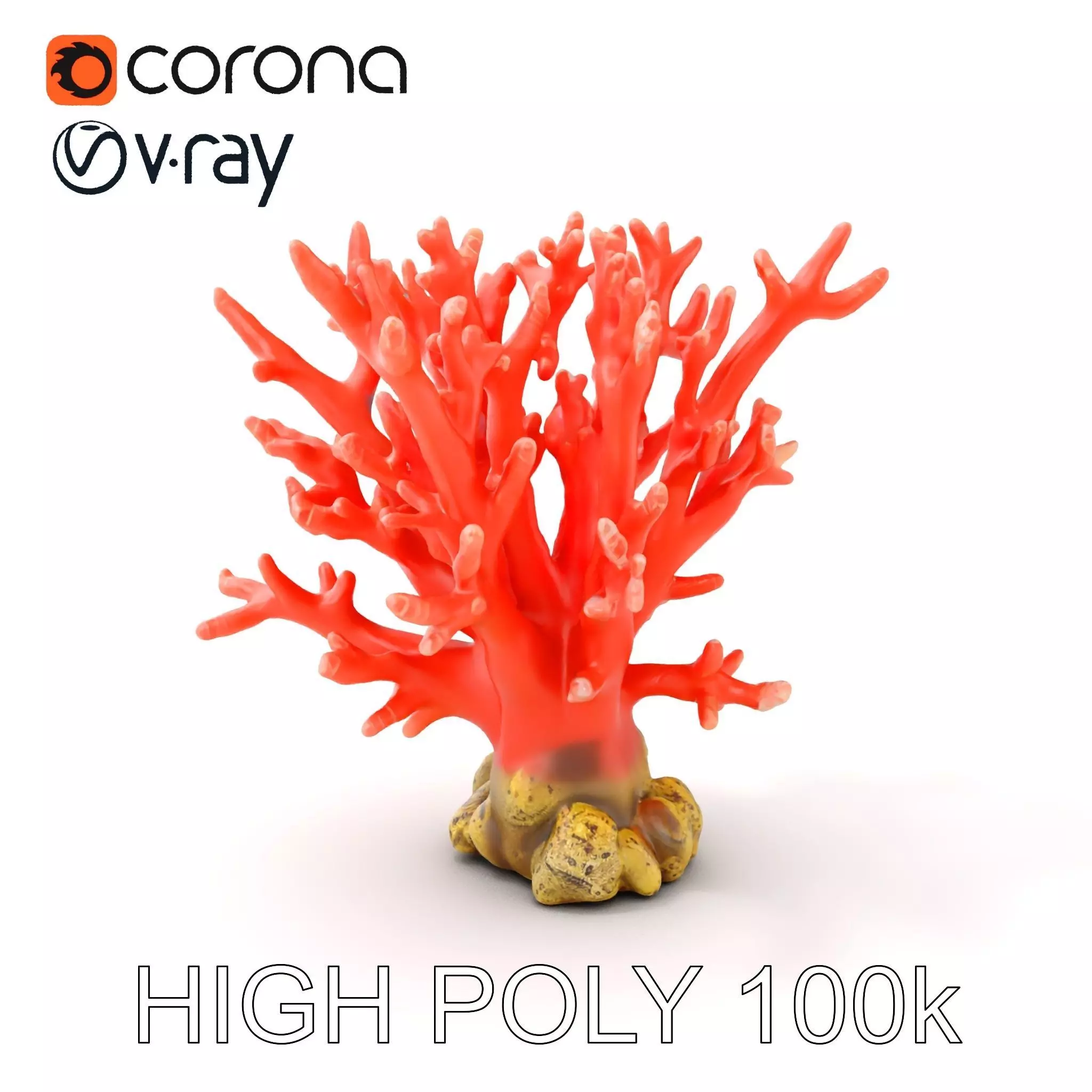 Pink Coral Reef D Model Pack Low-poly 3D model_0