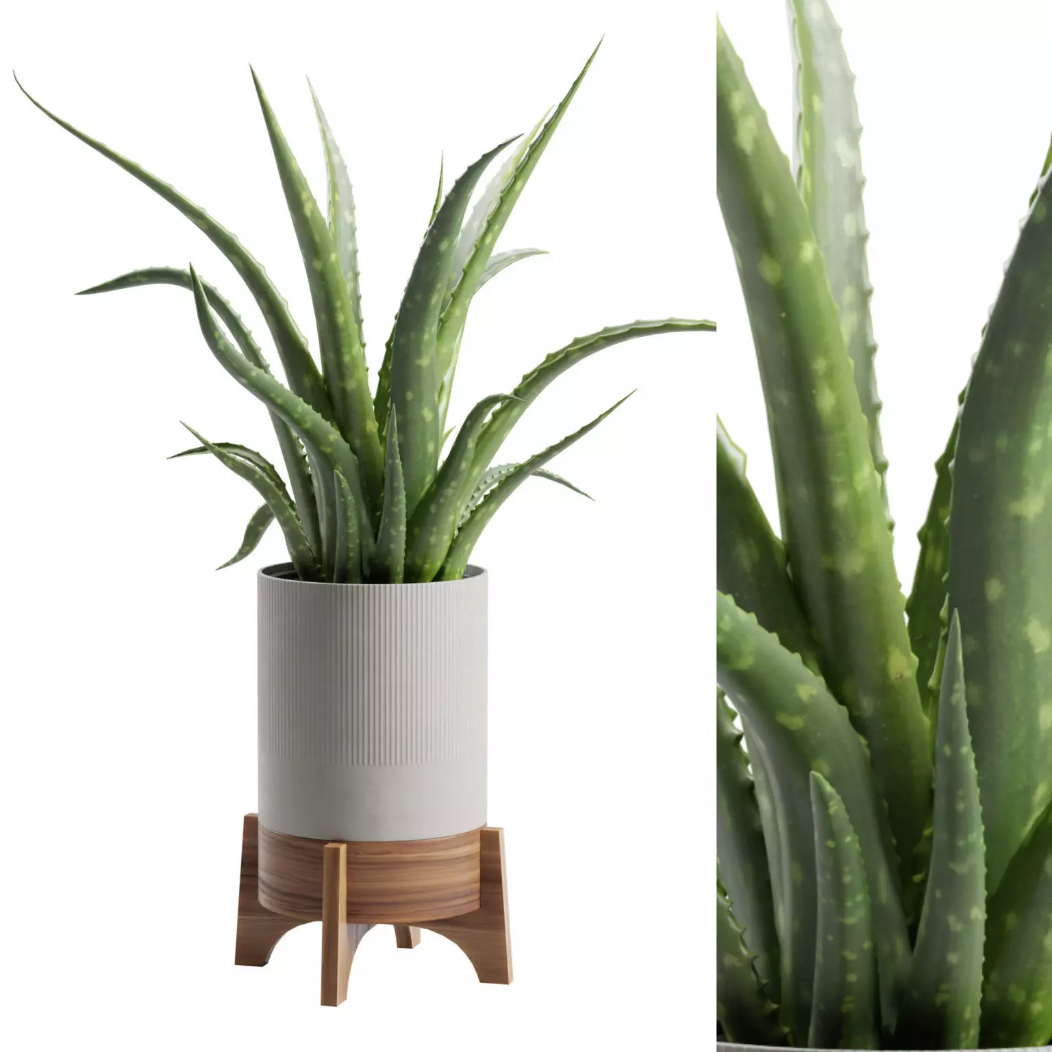 Aloe Vera Potted Stand 3D model