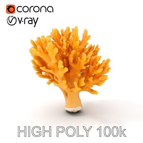 Yellow Coral Model Pack for Detailed D Environments Low-poly 3D model