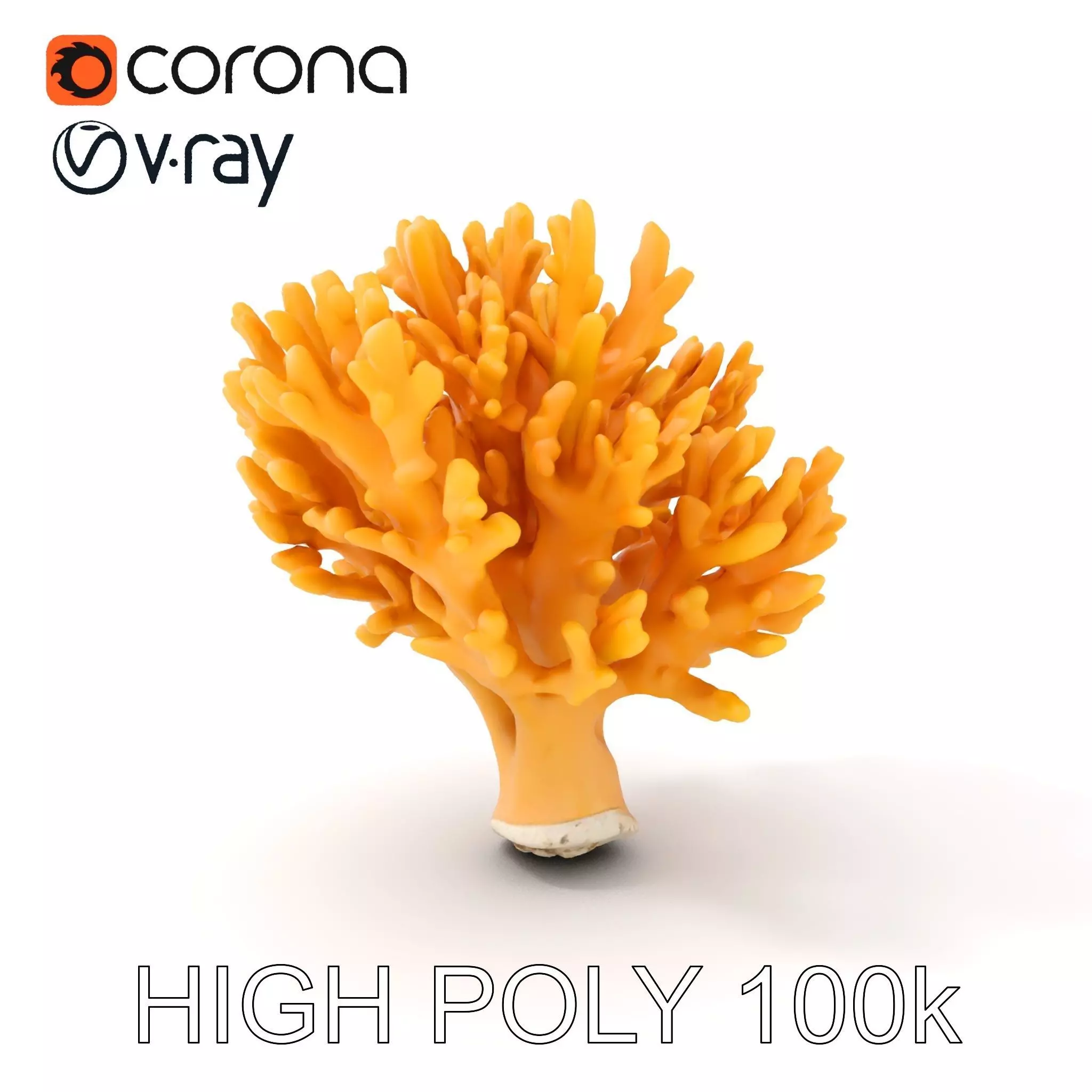 Yellow Coral Model Pack for Detailed D Environments Low-poly 3D model_0