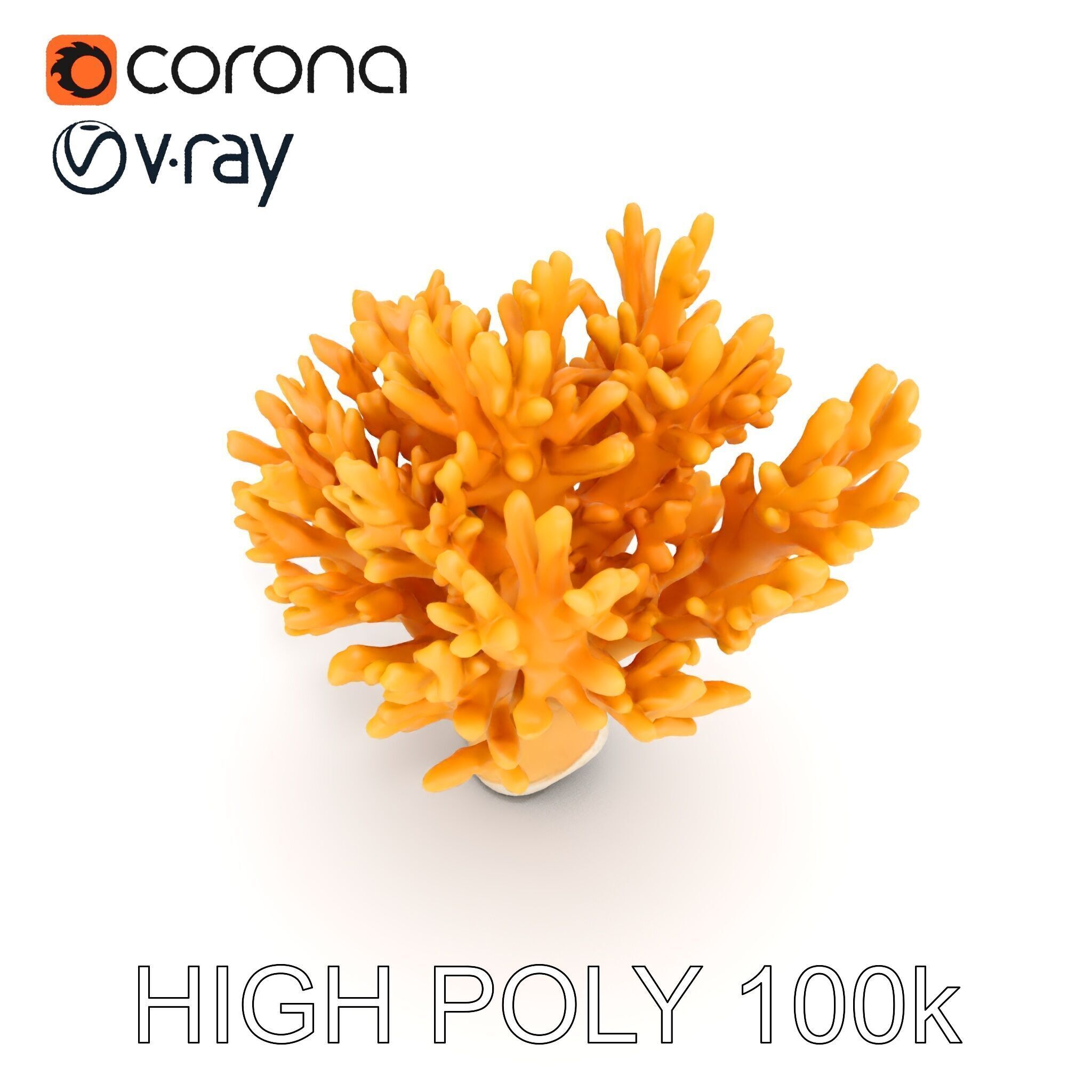 Yellow Coral Model Pack for Detailed D Environments Low-poly 3D model_7