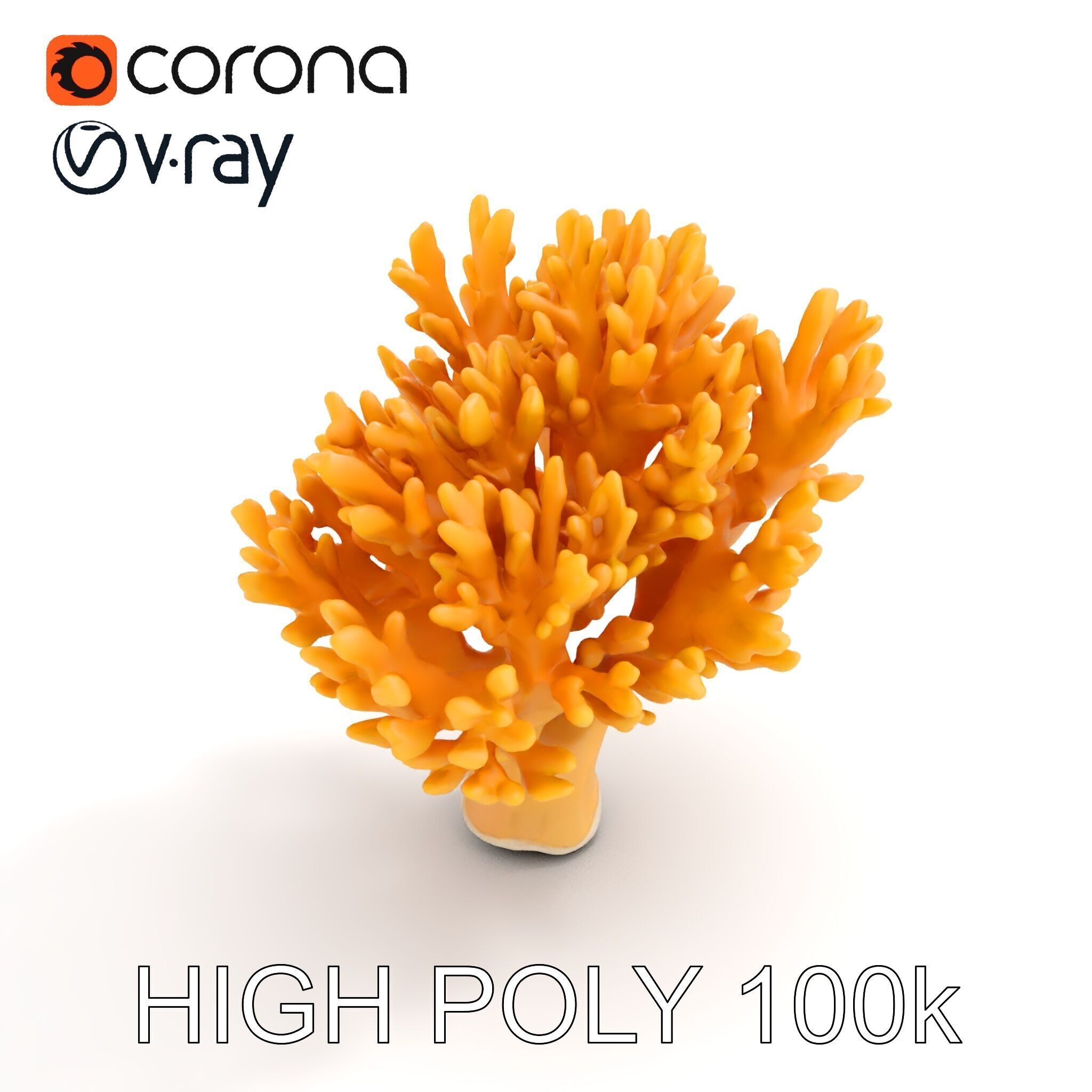 Yellow Coral Model Pack for Detailed D Environments Low-poly 3D model_18