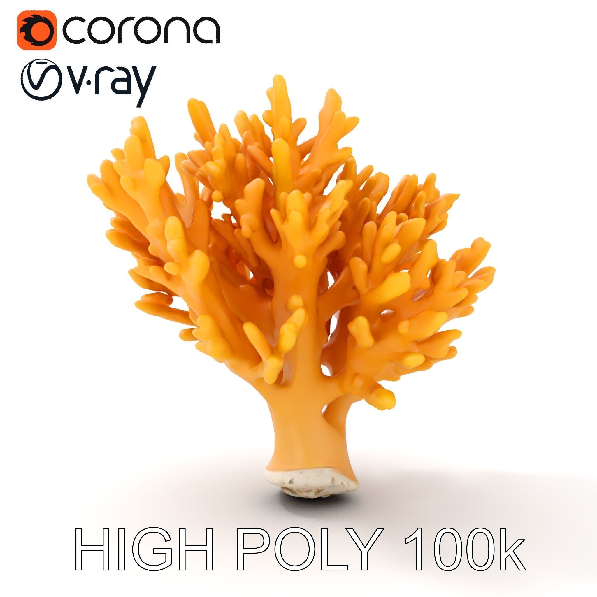 Yellow Coral Model Pack for Detailed D Environments Low-poly 3D model_8