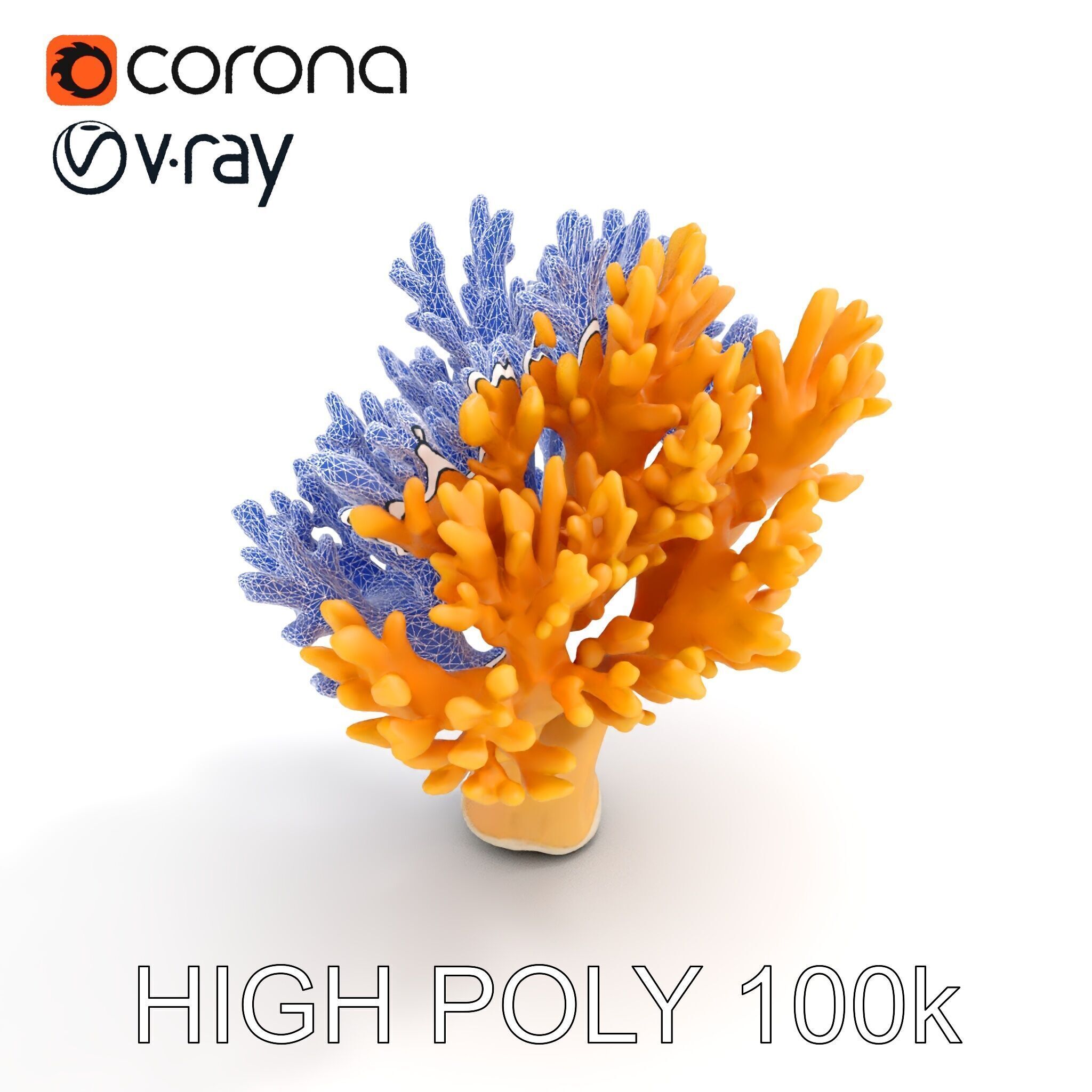 Yellow Coral Model Pack for Detailed D Environments Low-poly 3D model_31