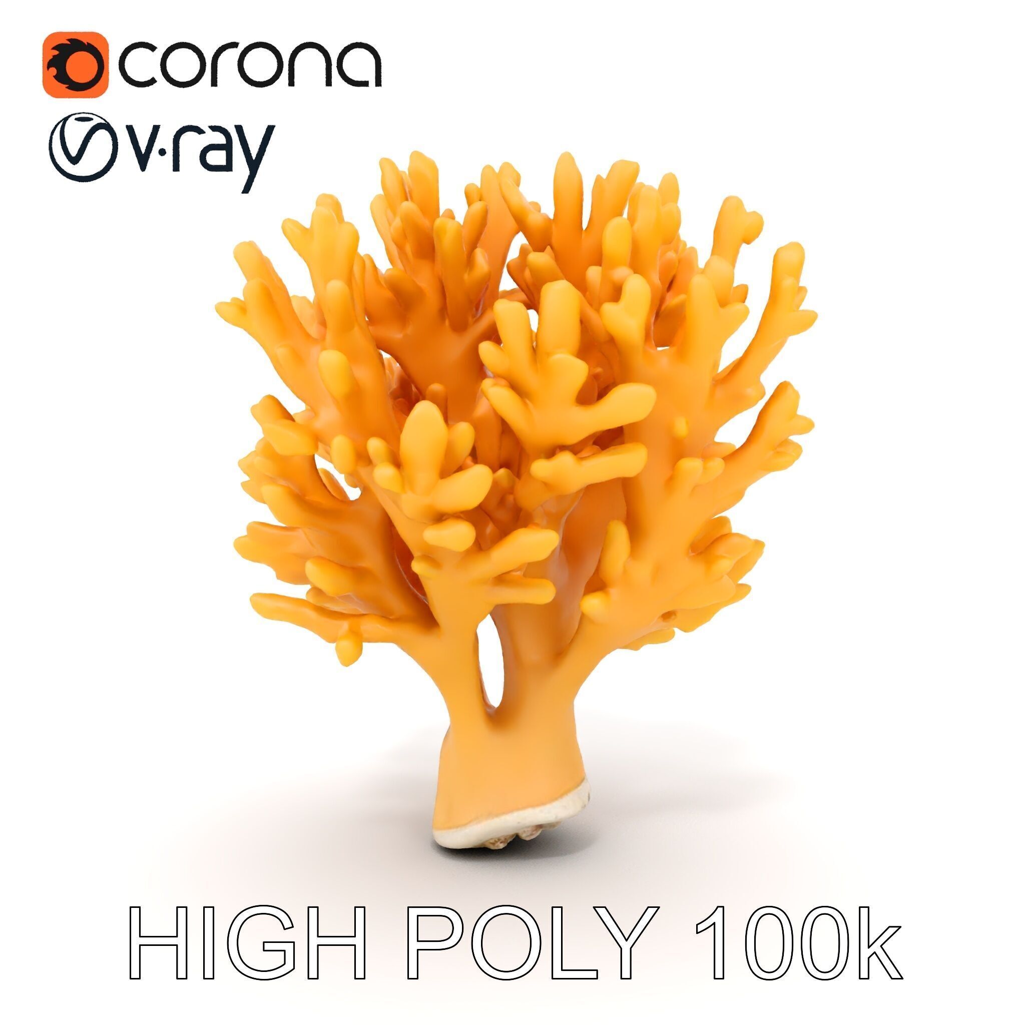 Yellow Coral Model Pack for Detailed D Environments Low-poly 3D model_10