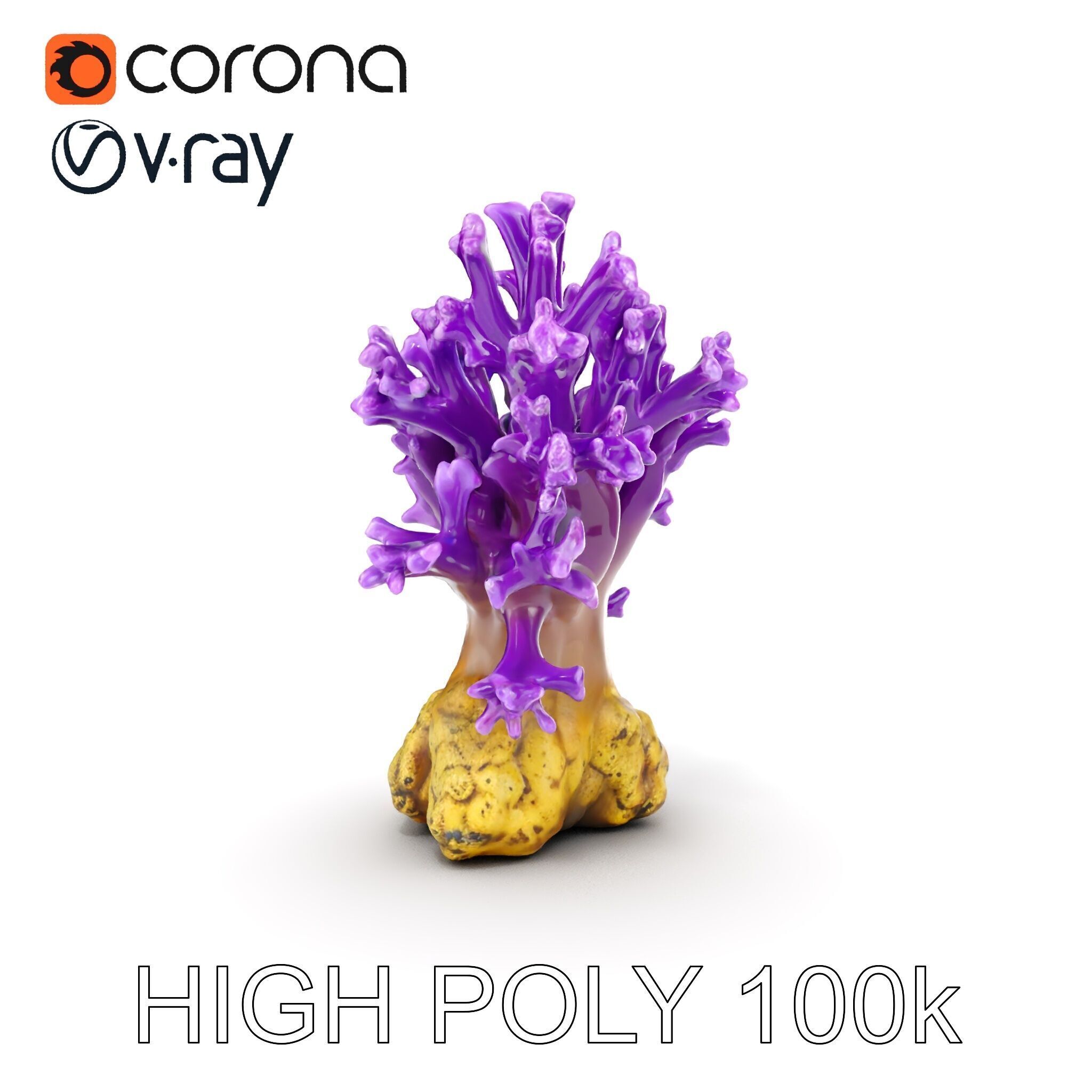 Vibrant Purple Coral Reef Model Pack Low-poly 3D model_29