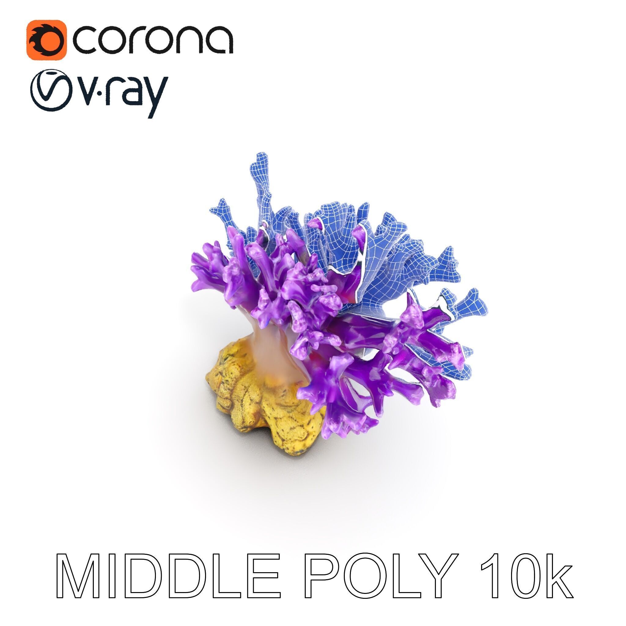 Vibrant Purple Coral Reef Model Pack Low-poly 3D model_10