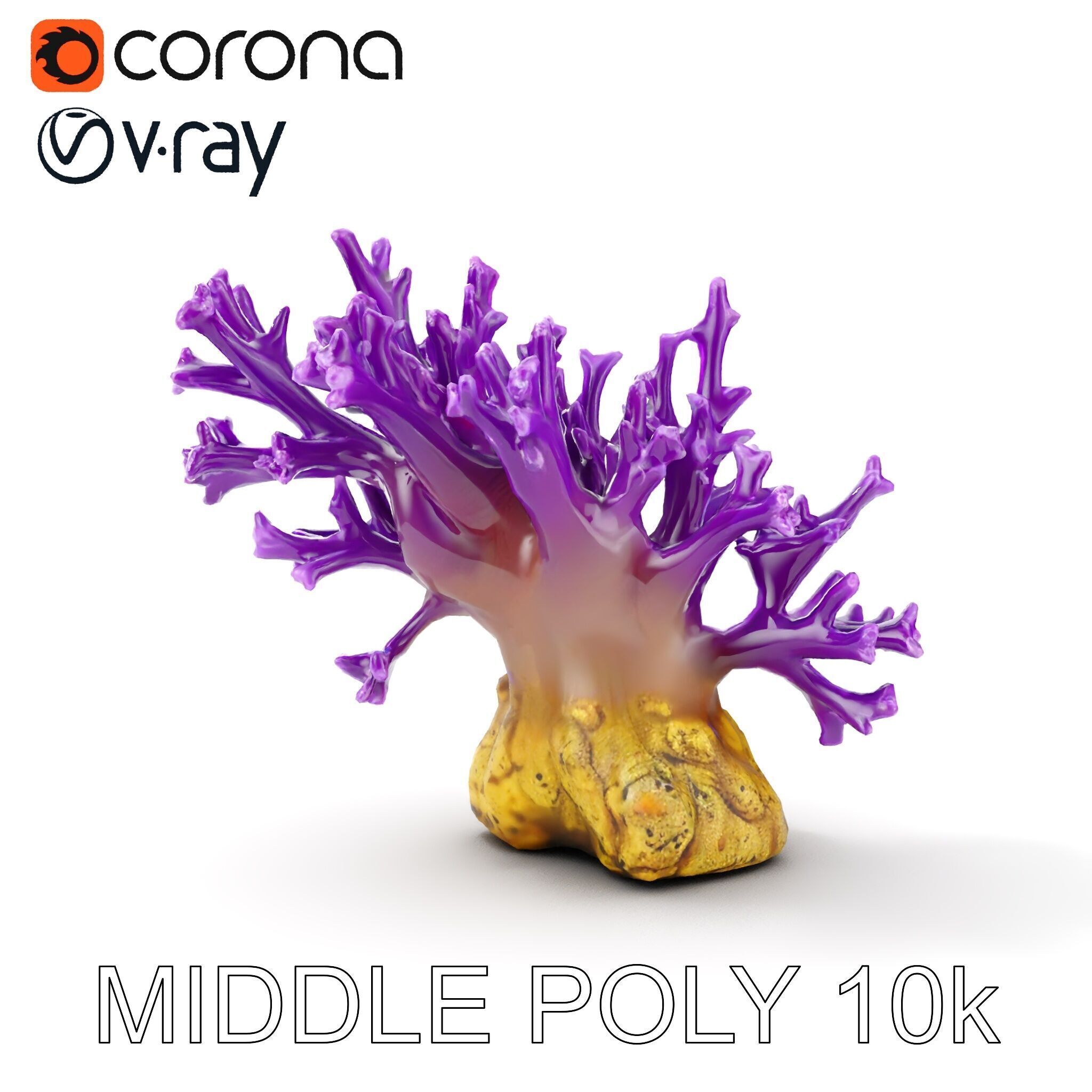 Vibrant Purple Coral Reef Model Pack Low-poly 3D model_21