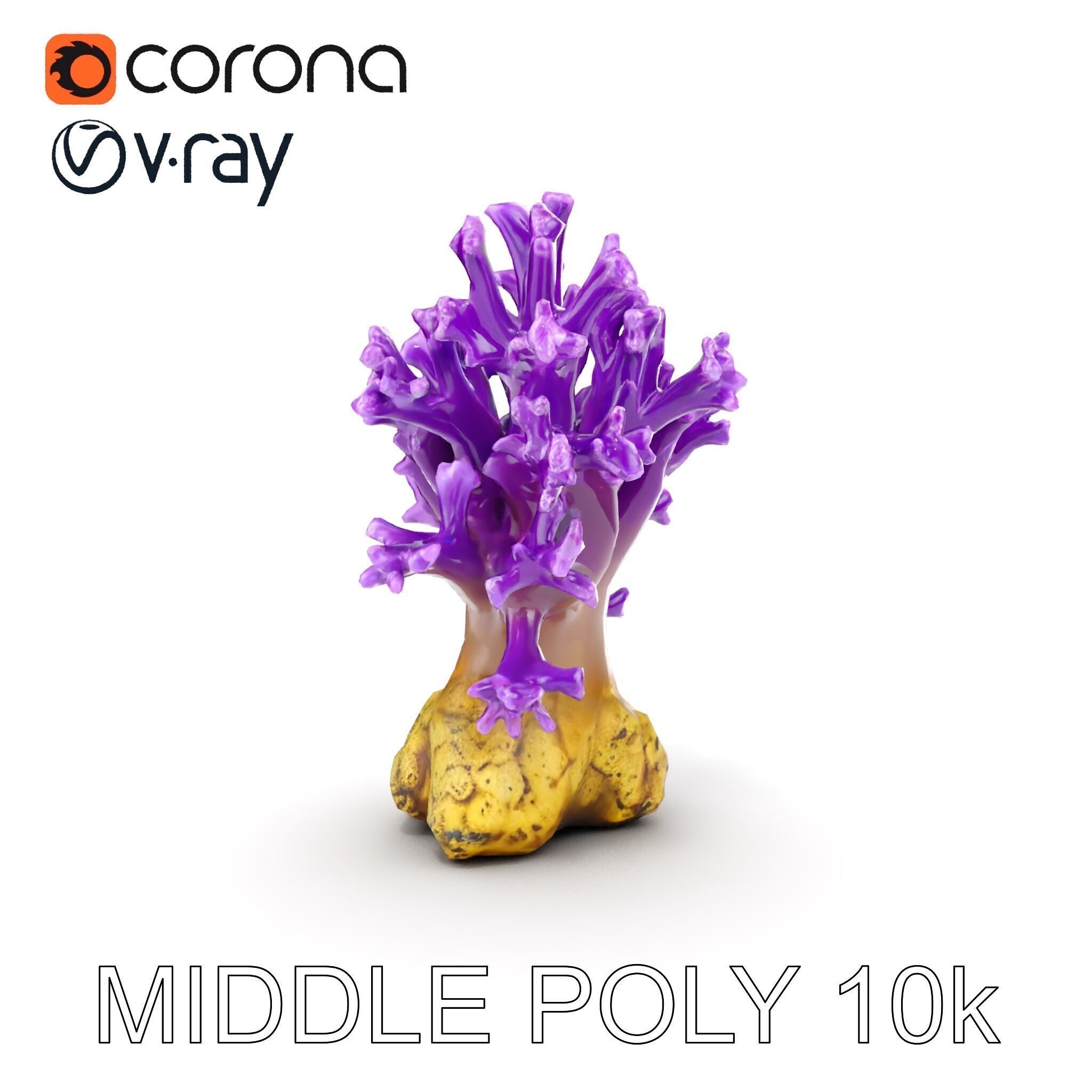Vibrant Purple Coral Reef Model Pack Low-poly 3D model_27
