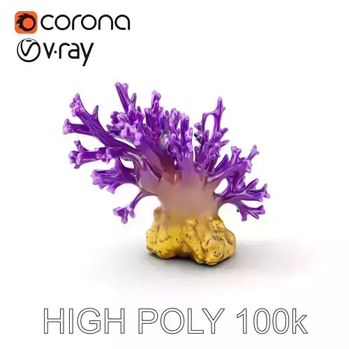 Vibrant Purple Coral Reef Model Pack Low-poly 3D model