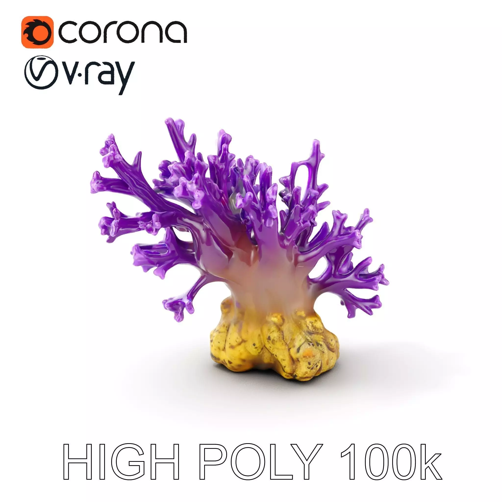 Vibrant Purple Coral Reef Model Pack Low-poly 3D model_0
