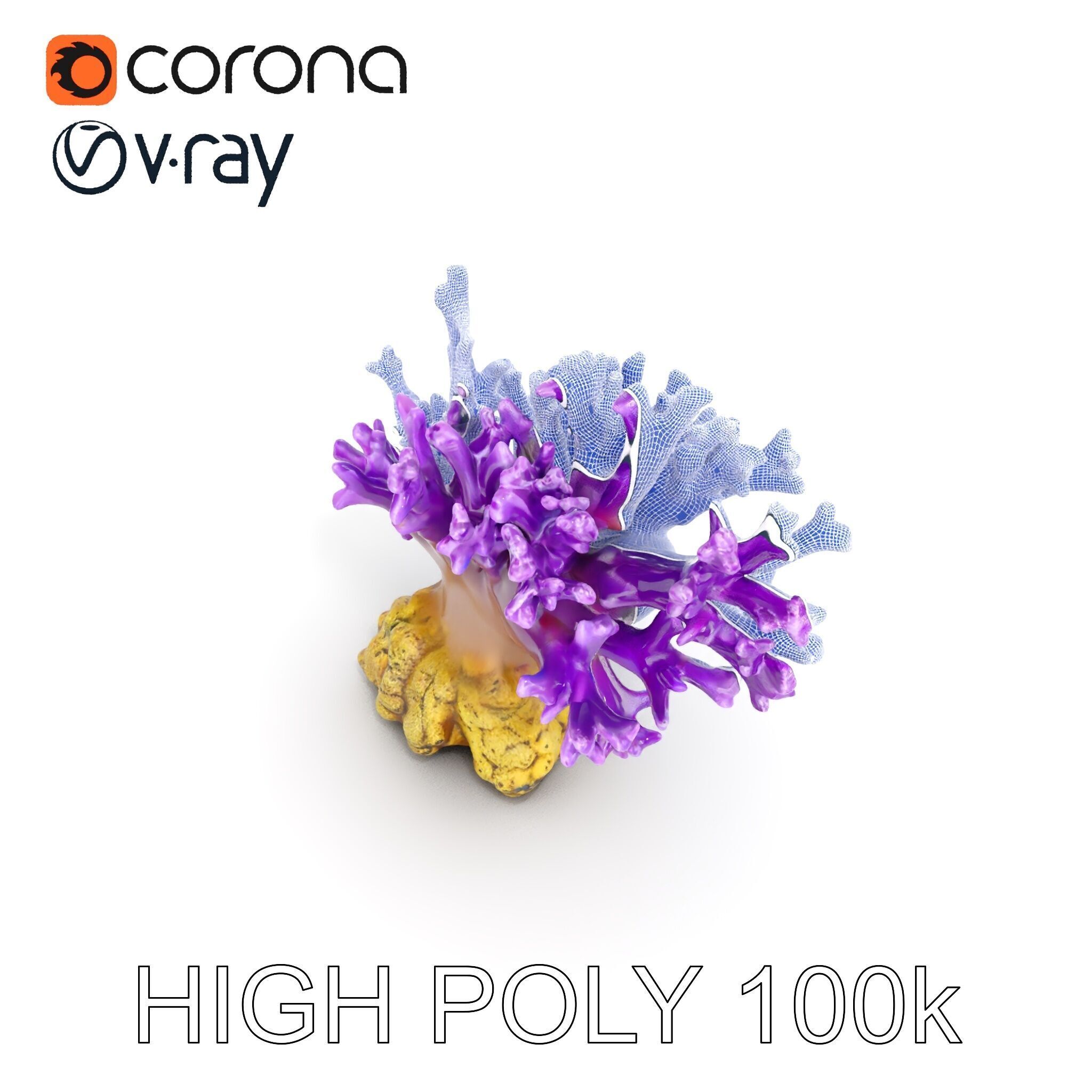 Vibrant Purple Coral Reef Model Pack Low-poly 3D model_23