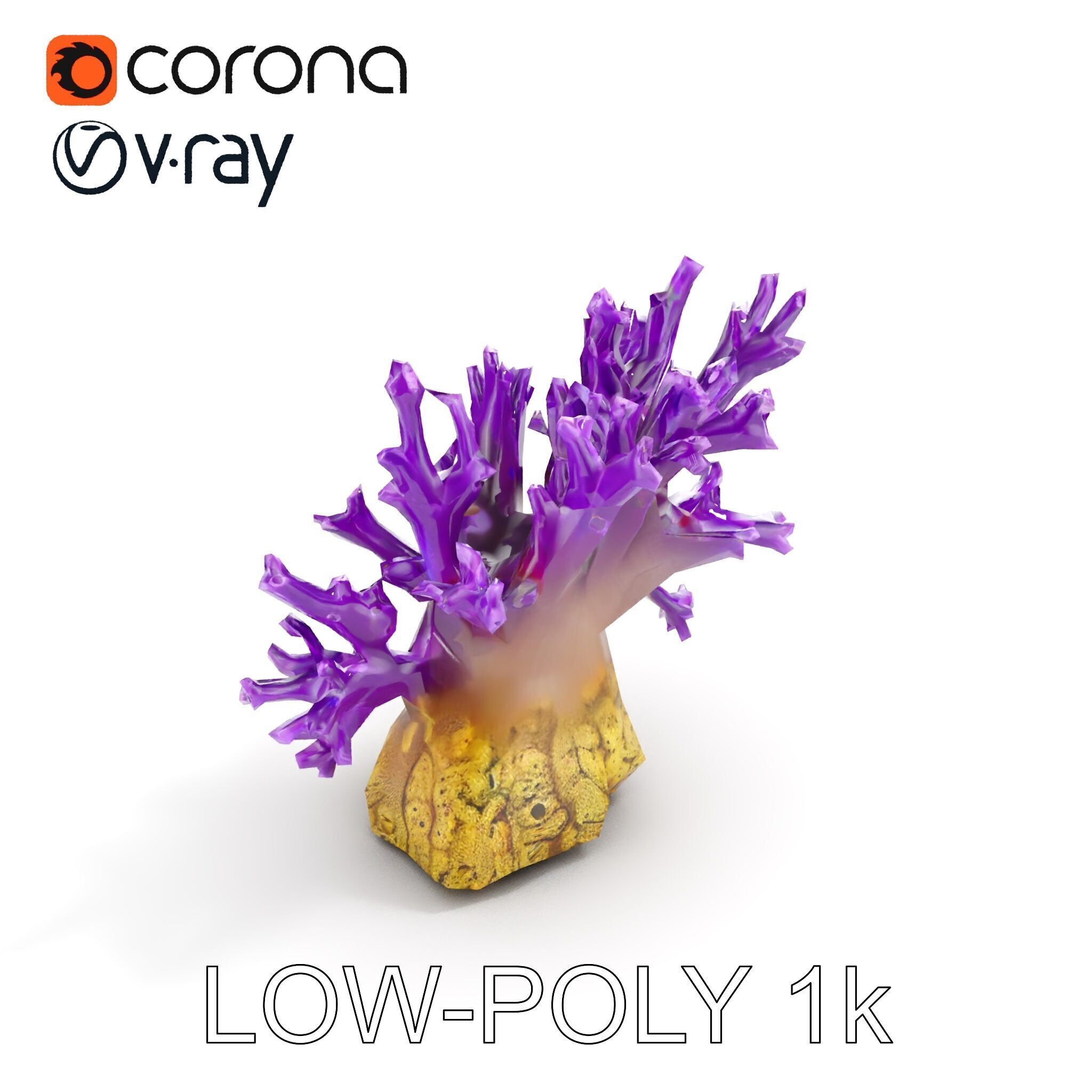 Vibrant Purple Coral Reef Model Pack Low-poly 3D model_7