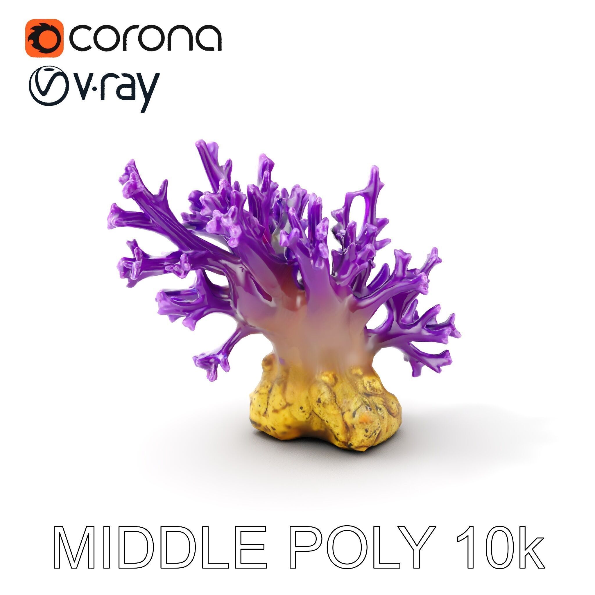 Vibrant Purple Coral Reef Model Pack Low-poly 3D model_6