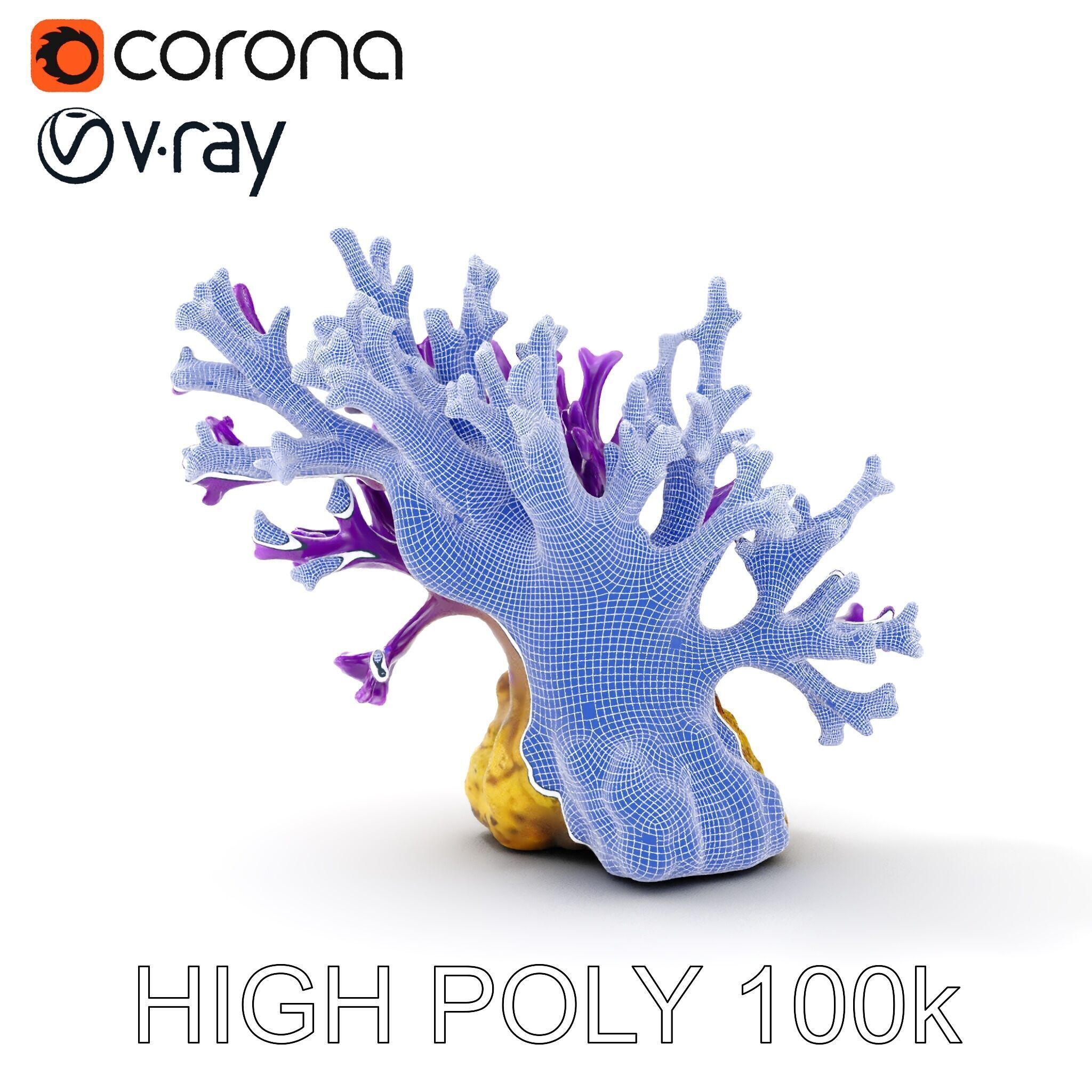 Vibrant Purple Coral Reef Model Pack Low-poly 3D model_35