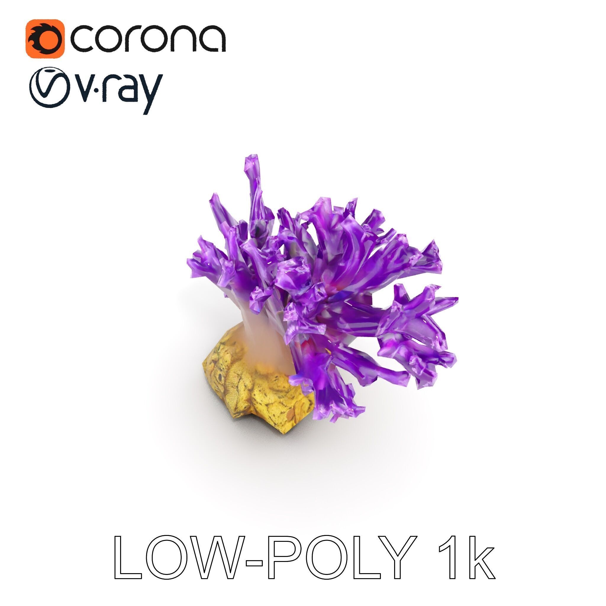 Vibrant Purple Coral Reef Model Pack Low-poly 3D model_14