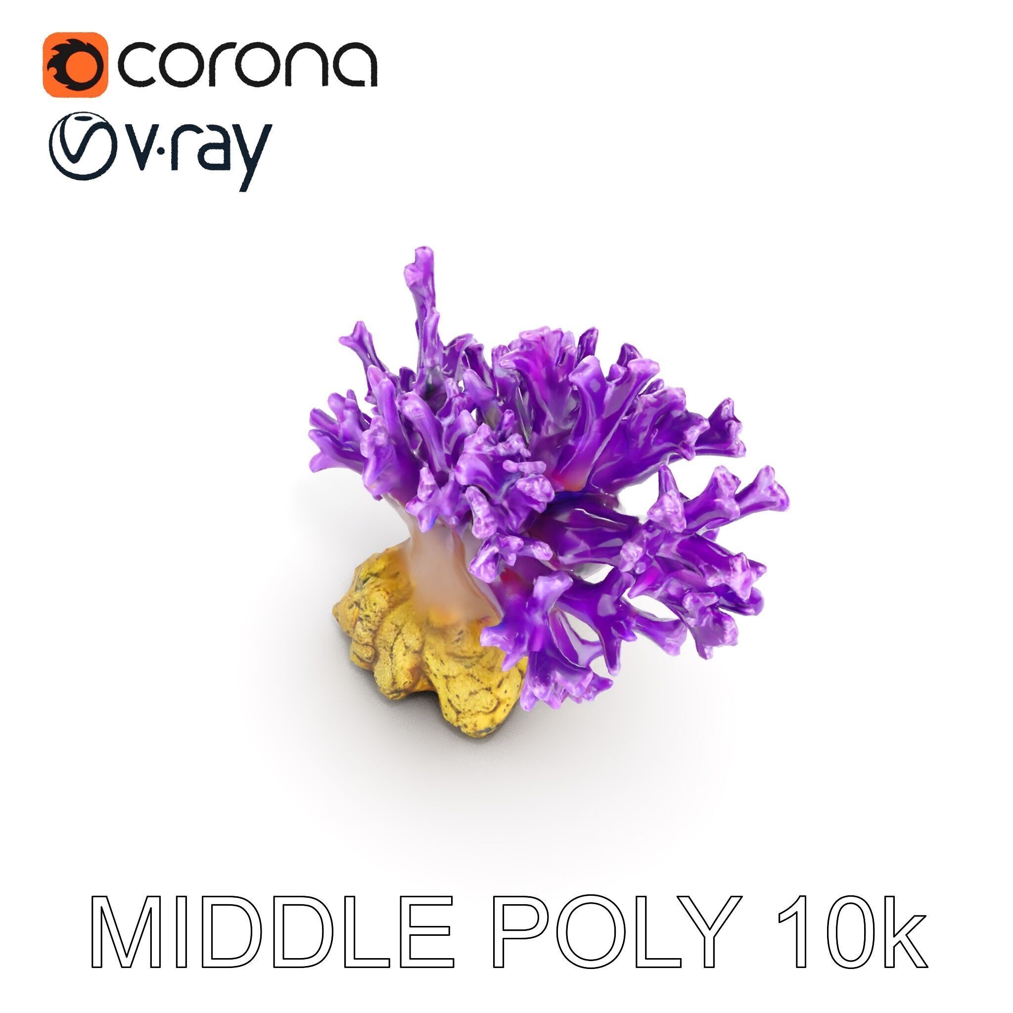 Vibrant Purple Coral Reef Model Pack Low-poly 3D model_19