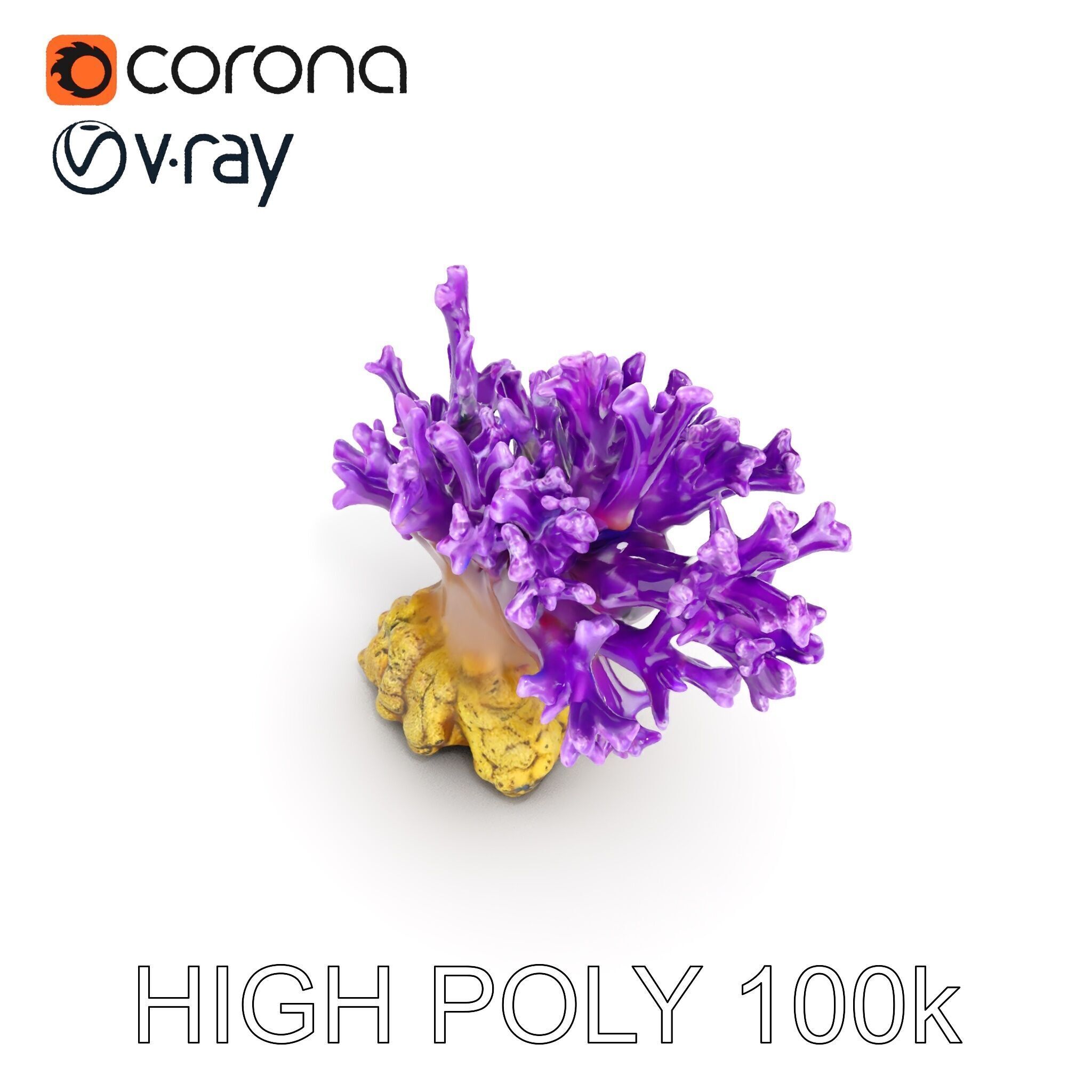 Vibrant Purple Coral Reef Model Pack Low-poly 3D model_18