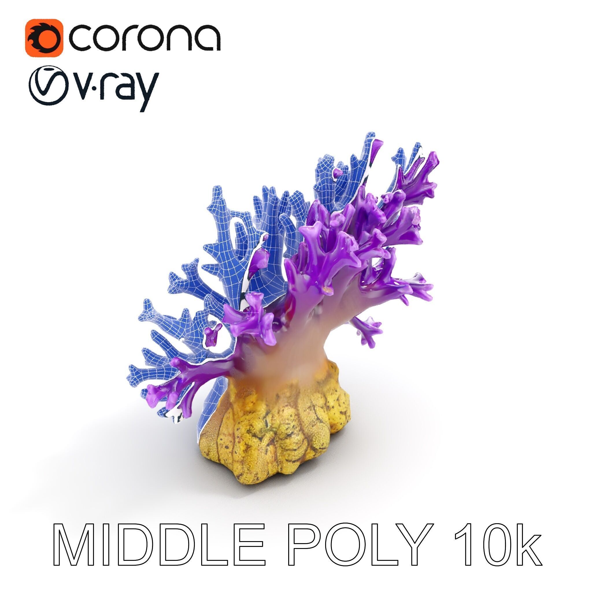 Vibrant Purple Coral Reef Model Pack Low-poly 3D model_13