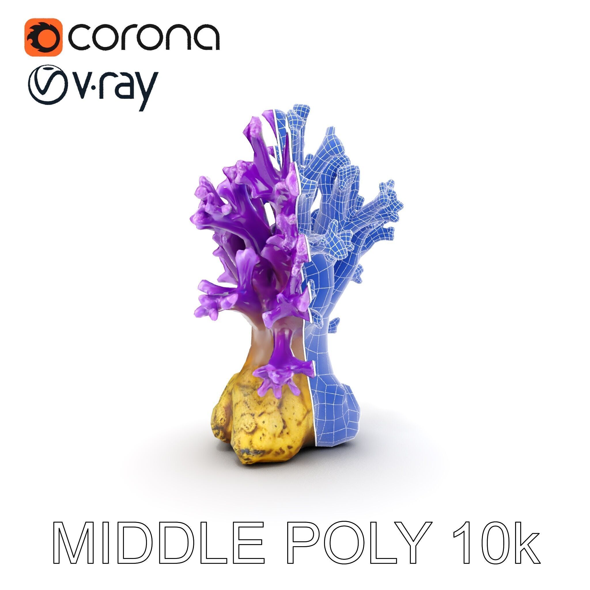 Vibrant Purple Coral Reef Model Pack Low-poly 3D model_30