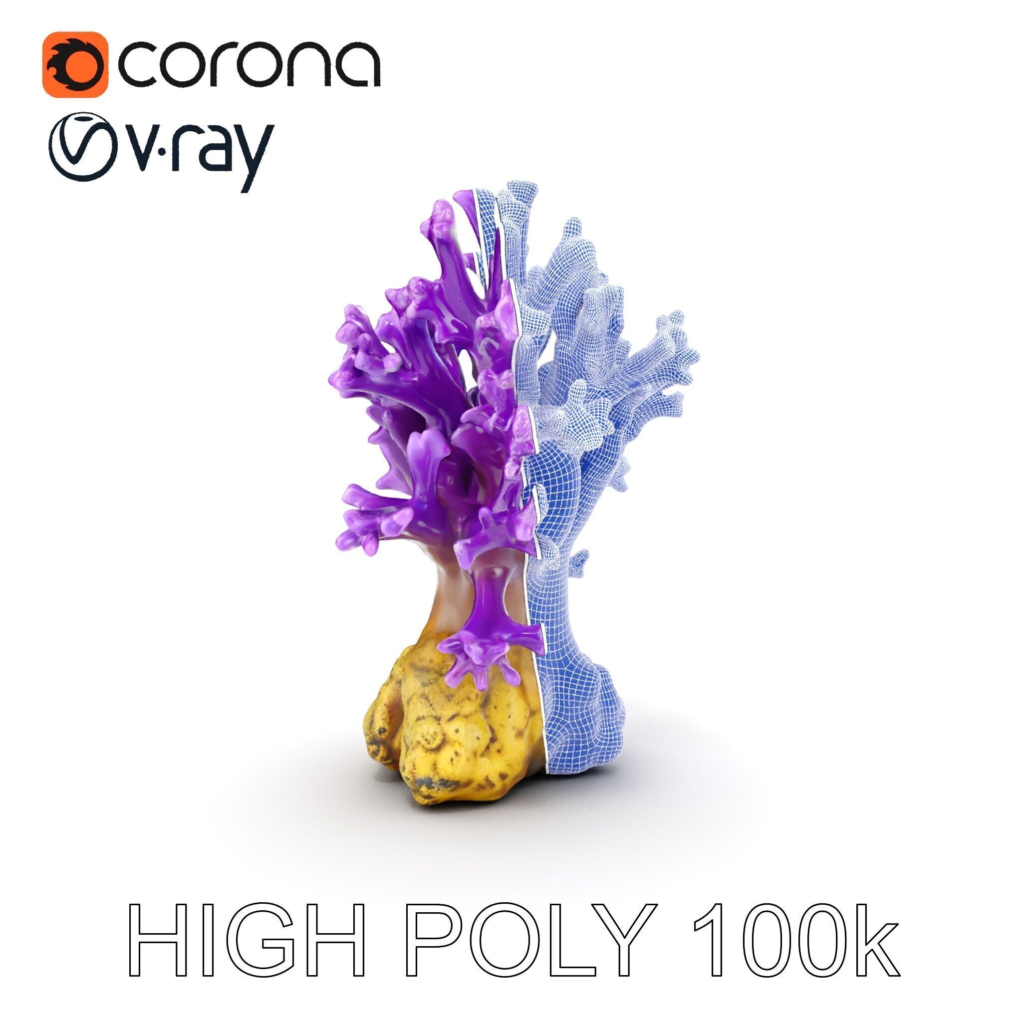 Vibrant Purple Coral Reef Model Pack Low-poly 3D model_32