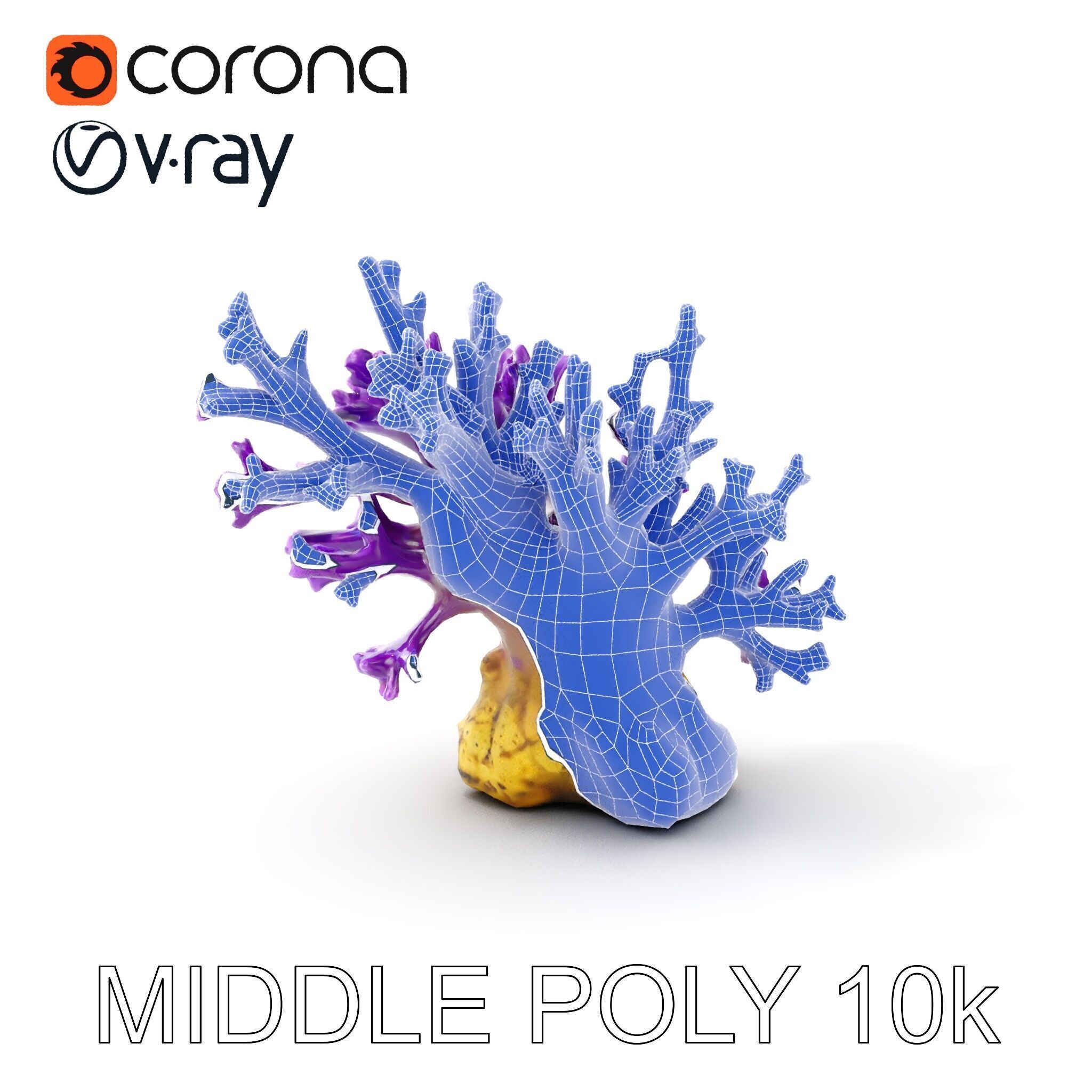 Vibrant Purple Coral Reef Model Pack Low-poly 3D model_24