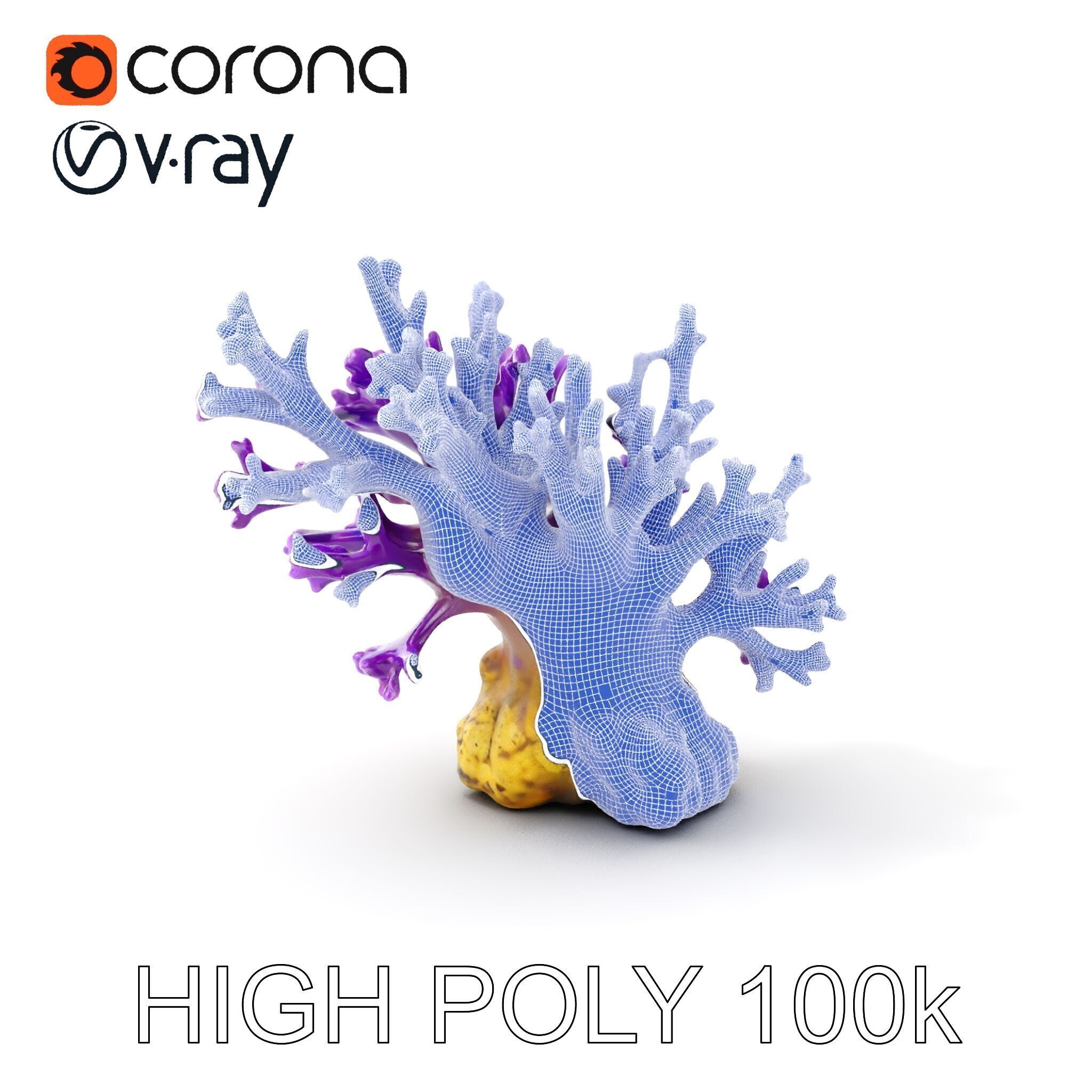 Vibrant Purple Coral Reef Model Pack Low-poly 3D model_4