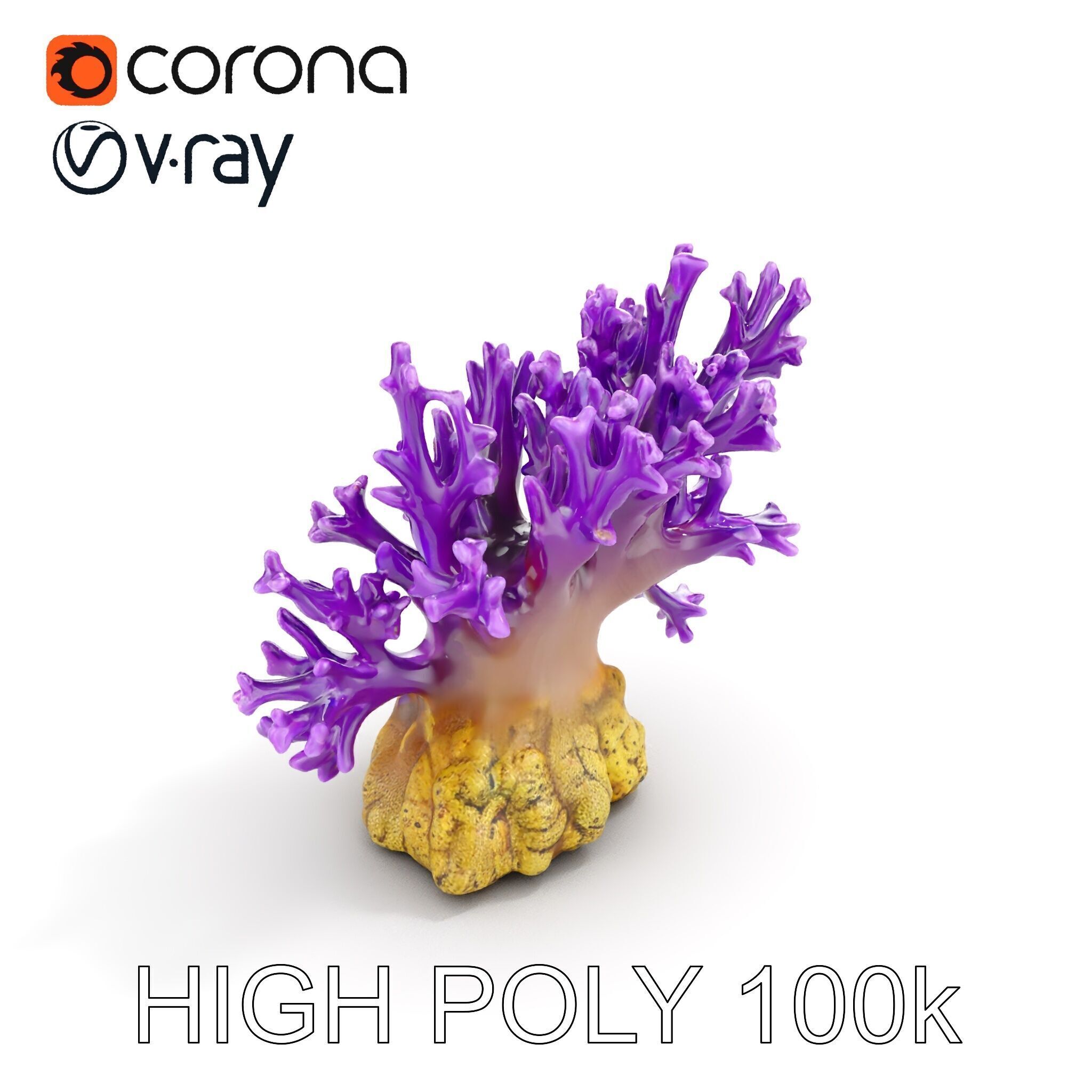 Vibrant Purple Coral Reef Model Pack Low-poly 3D model_15