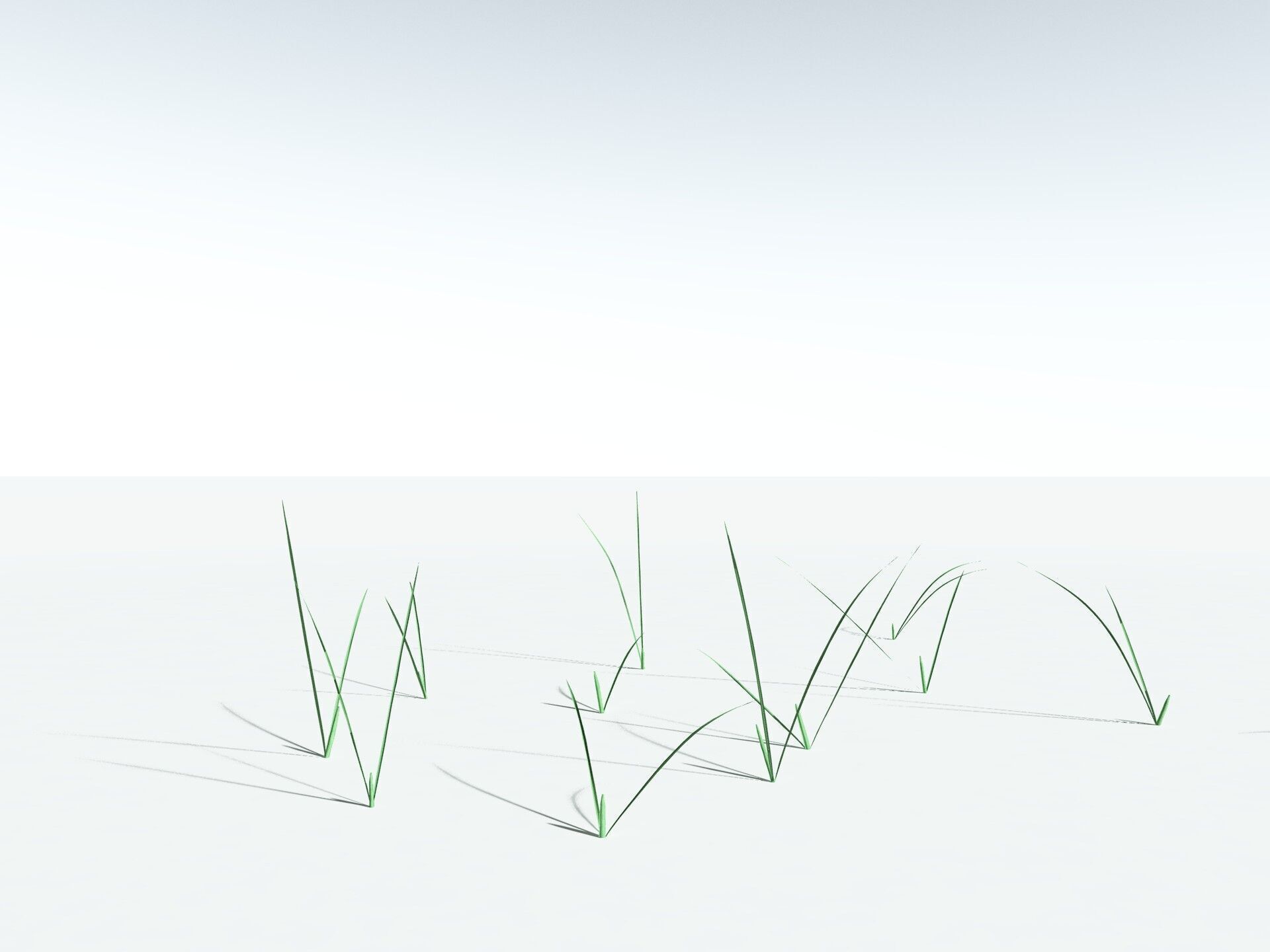 EVERYPlant Forest Woodrush 3D model_29