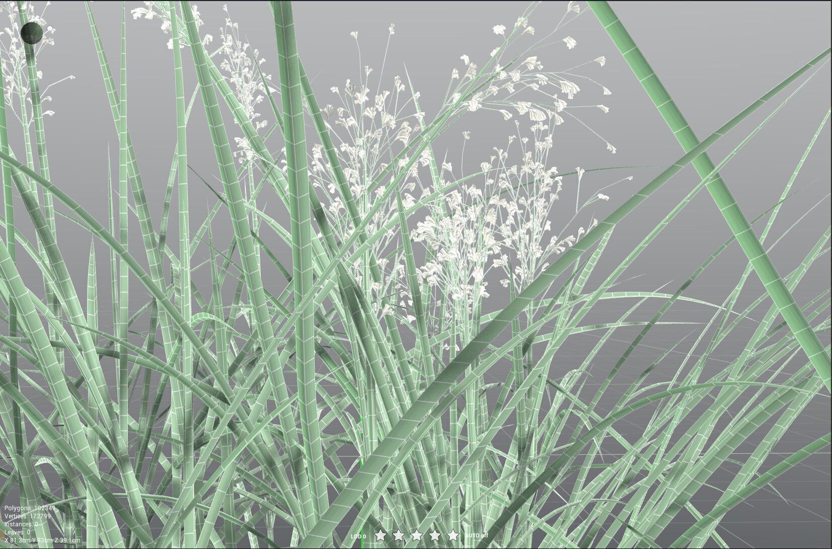 EVERYPlant Forest Woodrush 3D model_37