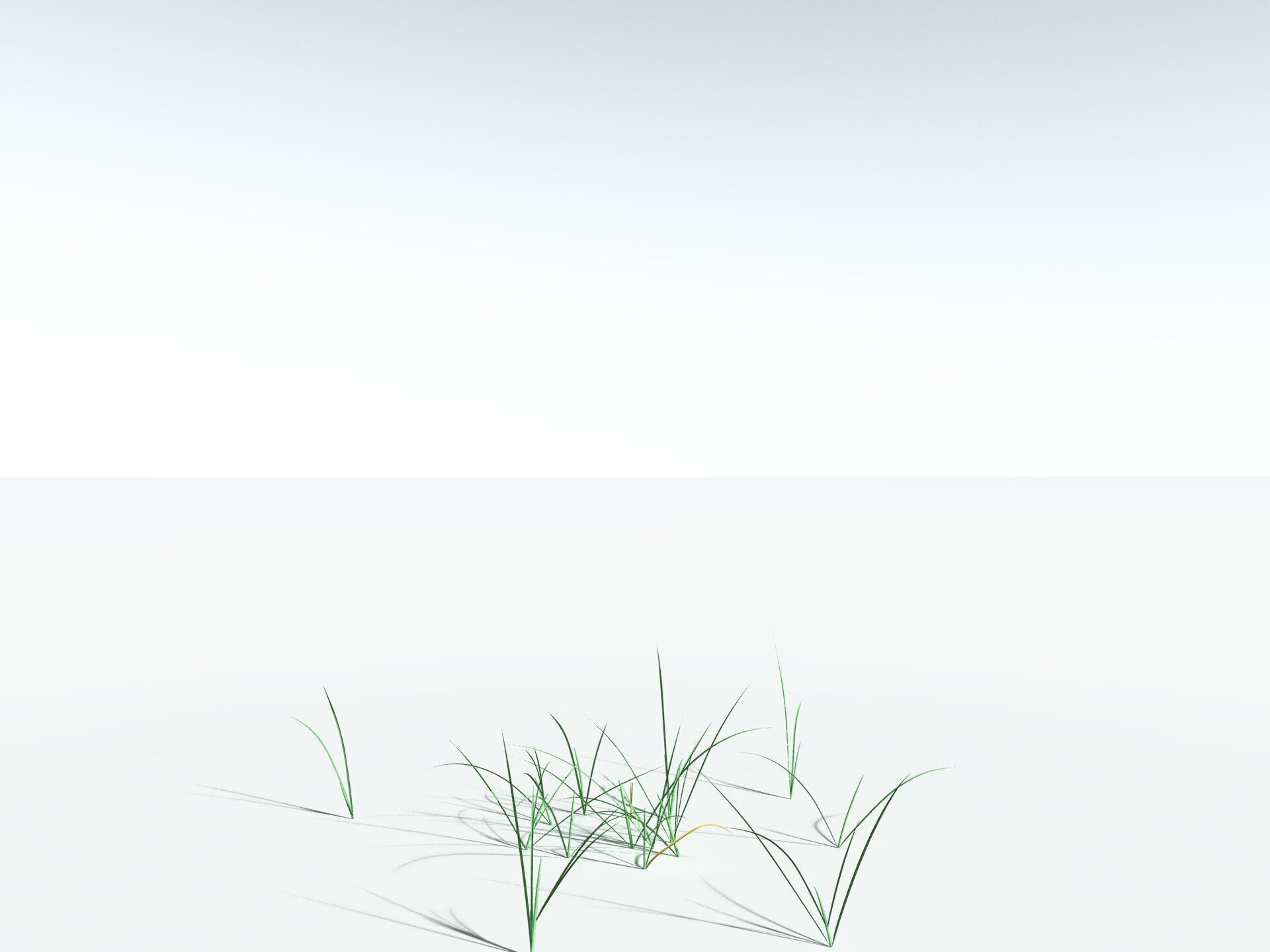 EVERYPlant Forest Woodrush 3D model_26