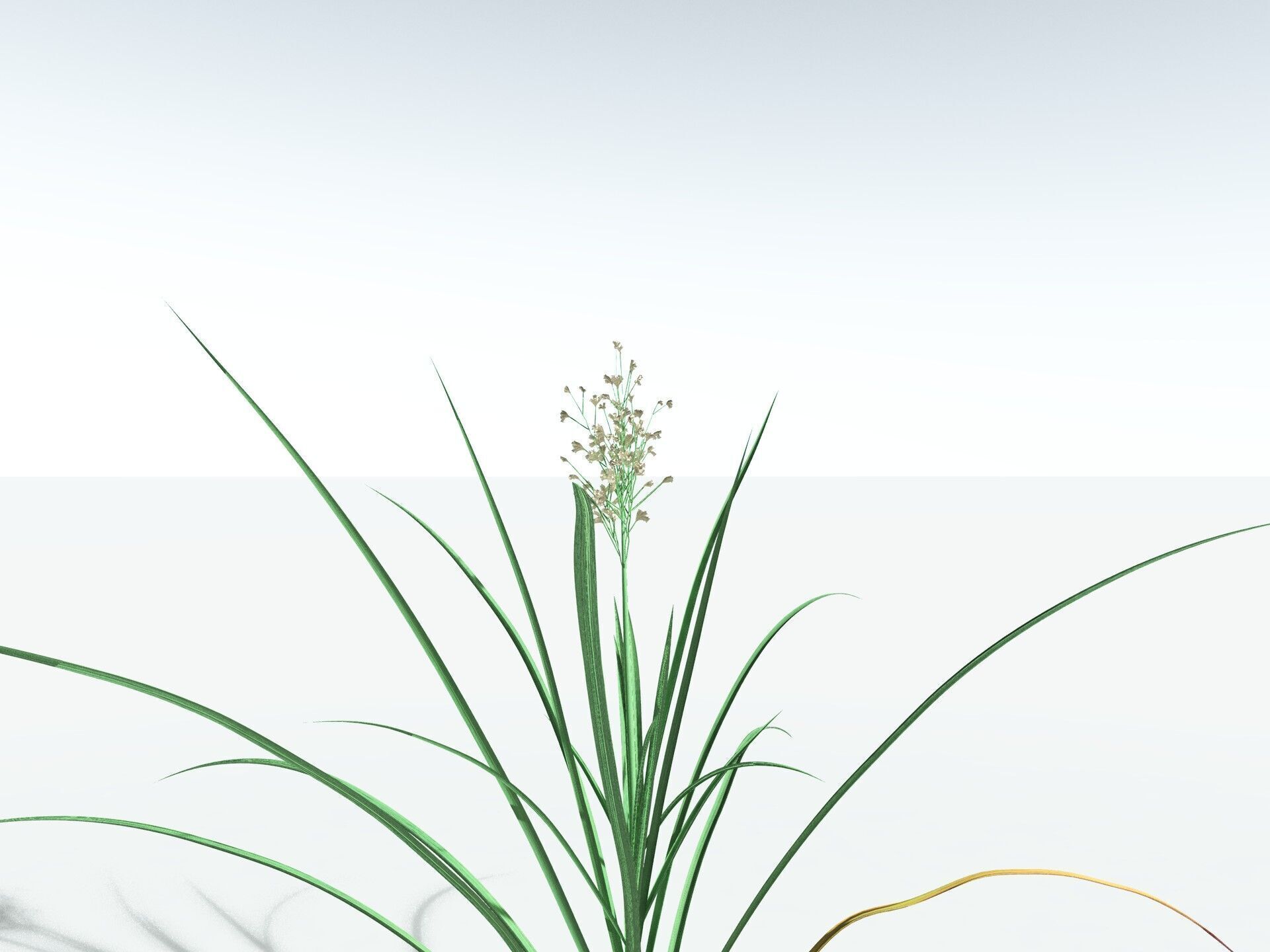 EVERYPlant Forest Woodrush 3D model_31