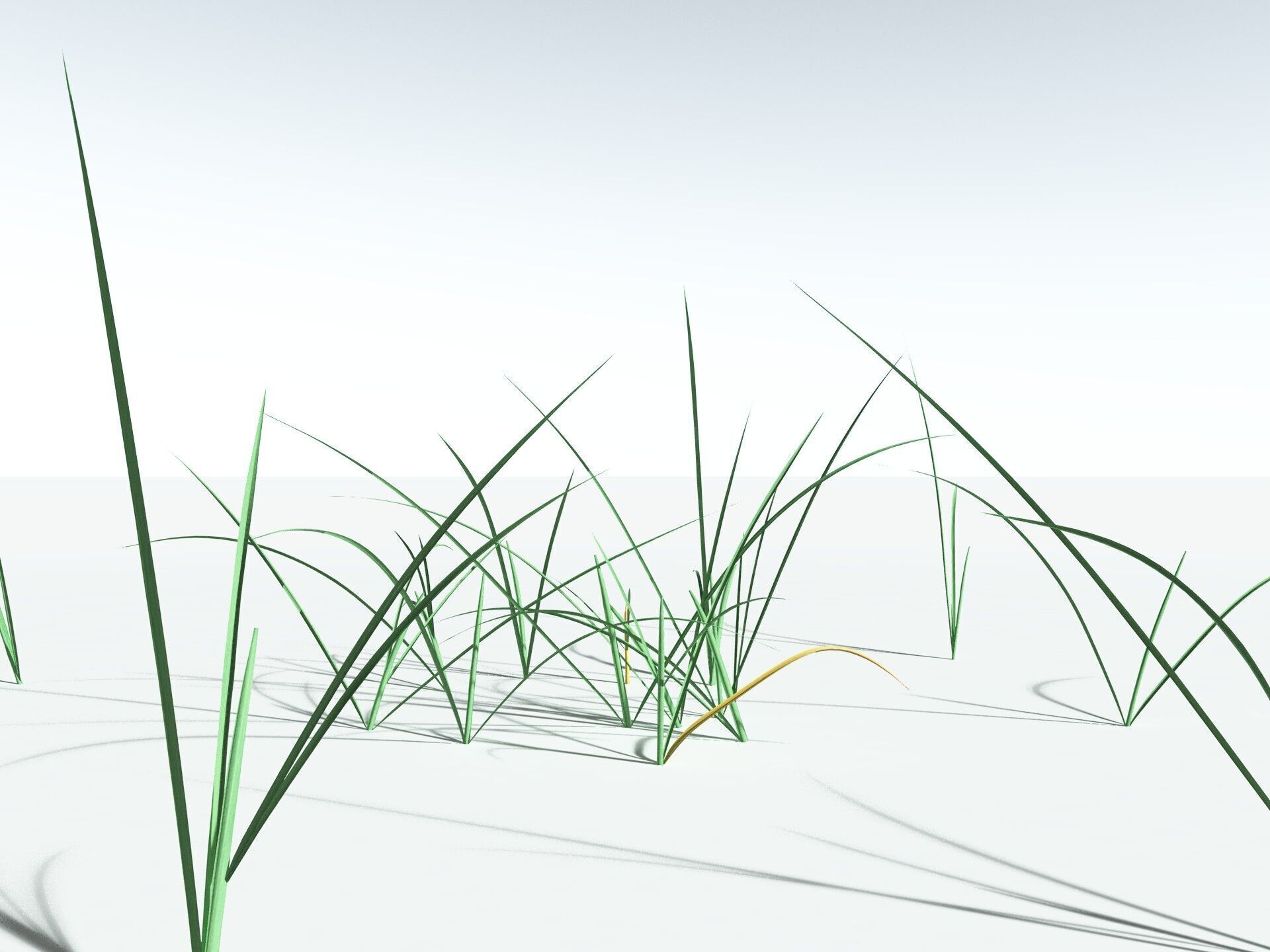 EVERYPlant Forest Woodrush 3D model_27