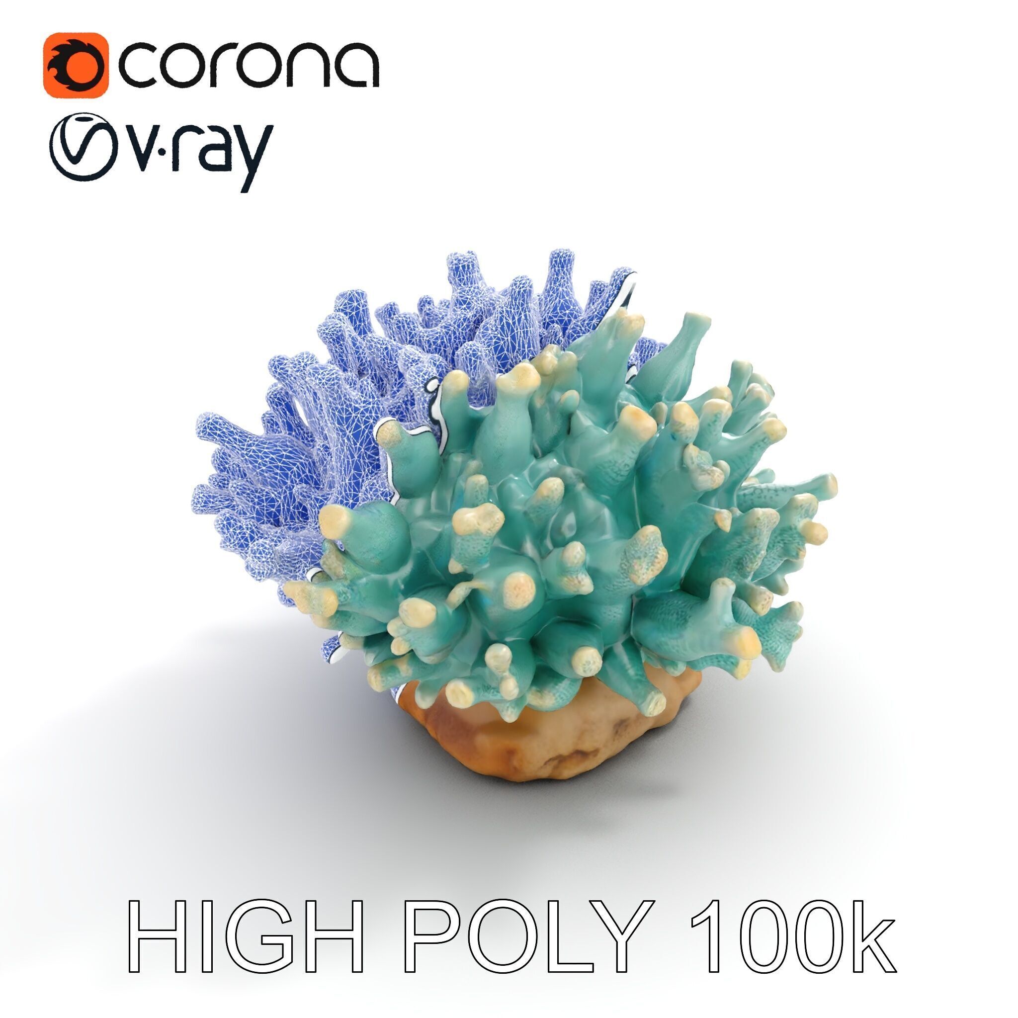Blue Coral Reef model pack Low-poly 3D model_21