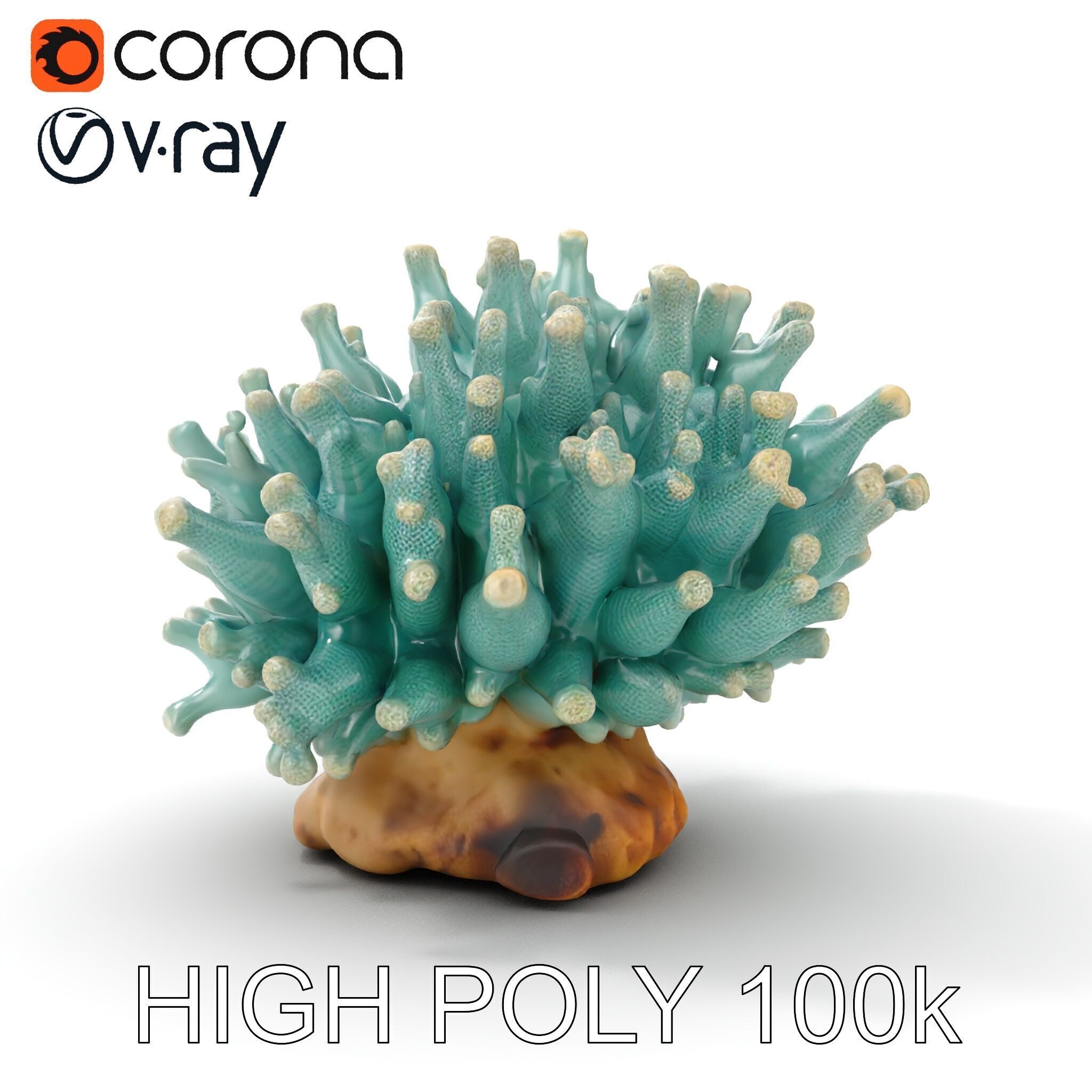 Blue Coral Reef model pack Low-poly 3D model_11