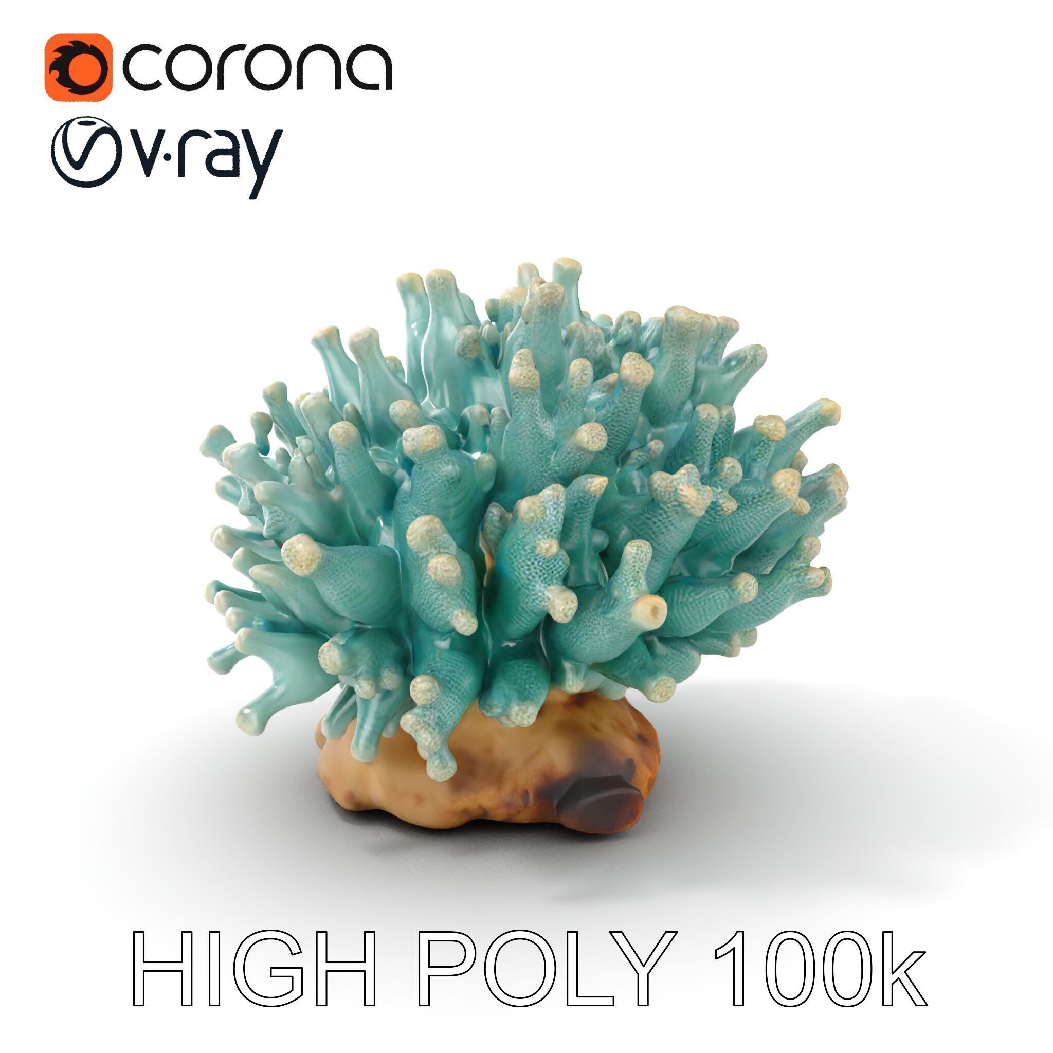 Blue Coral Reef model pack Low-poly 3D model_6