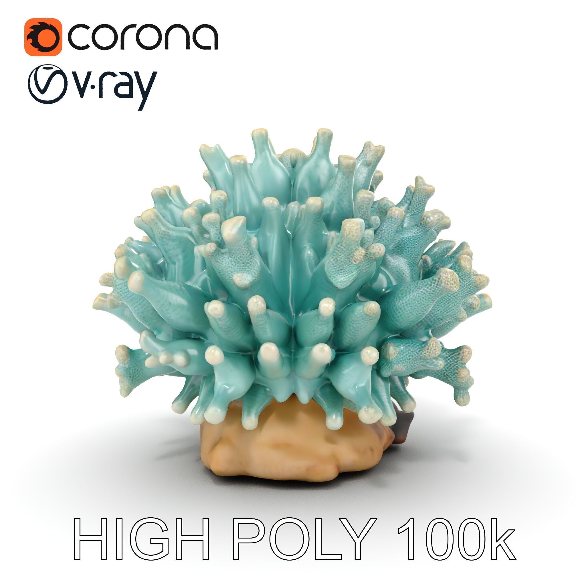 Blue Coral Reef model pack Low-poly 3D model_8