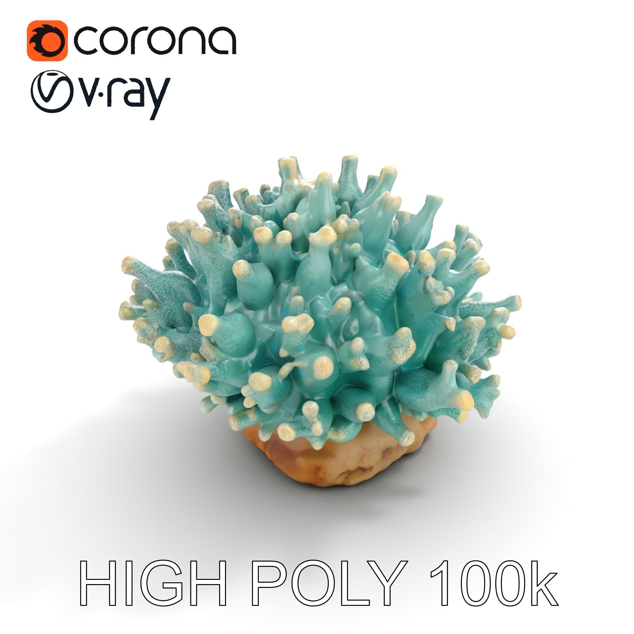 Blue Coral Reef model pack Low-poly 3D model_13