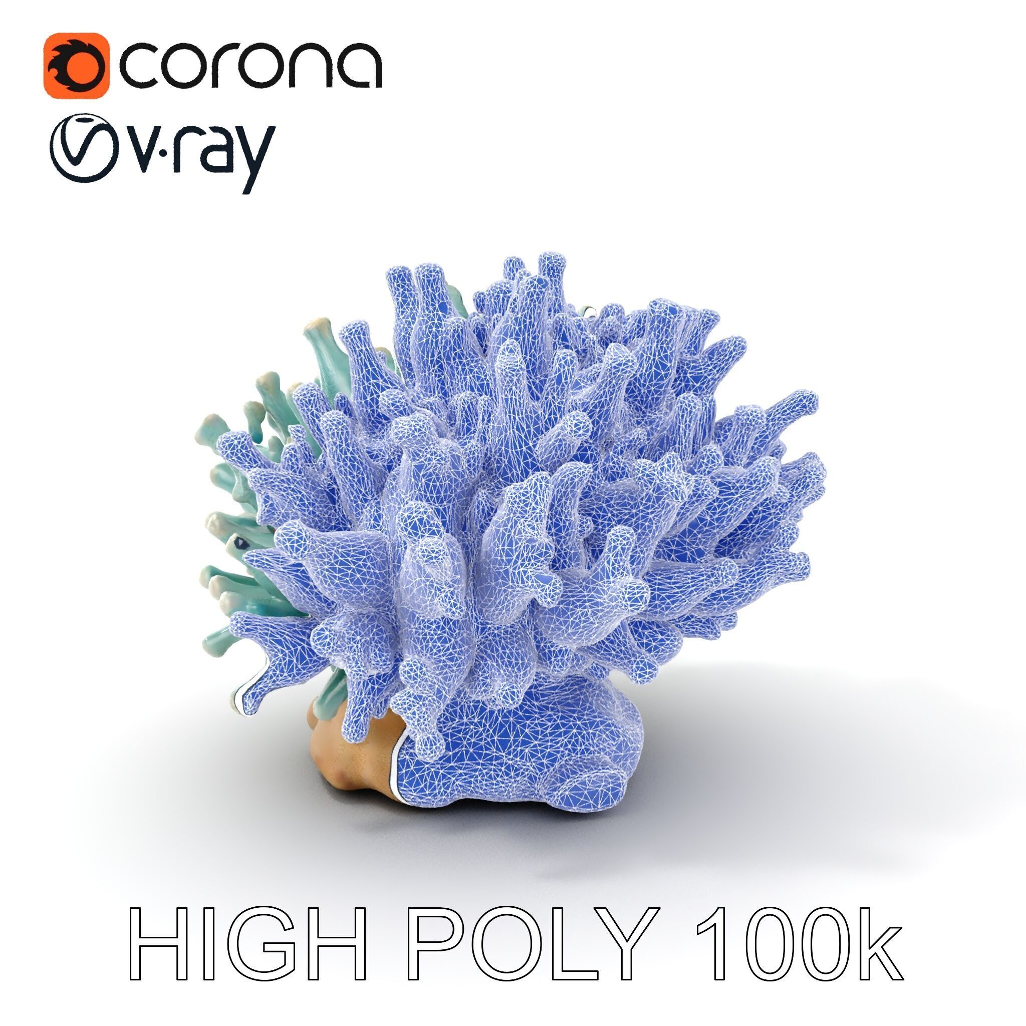 Blue Coral Reef model pack Low-poly 3D model_15