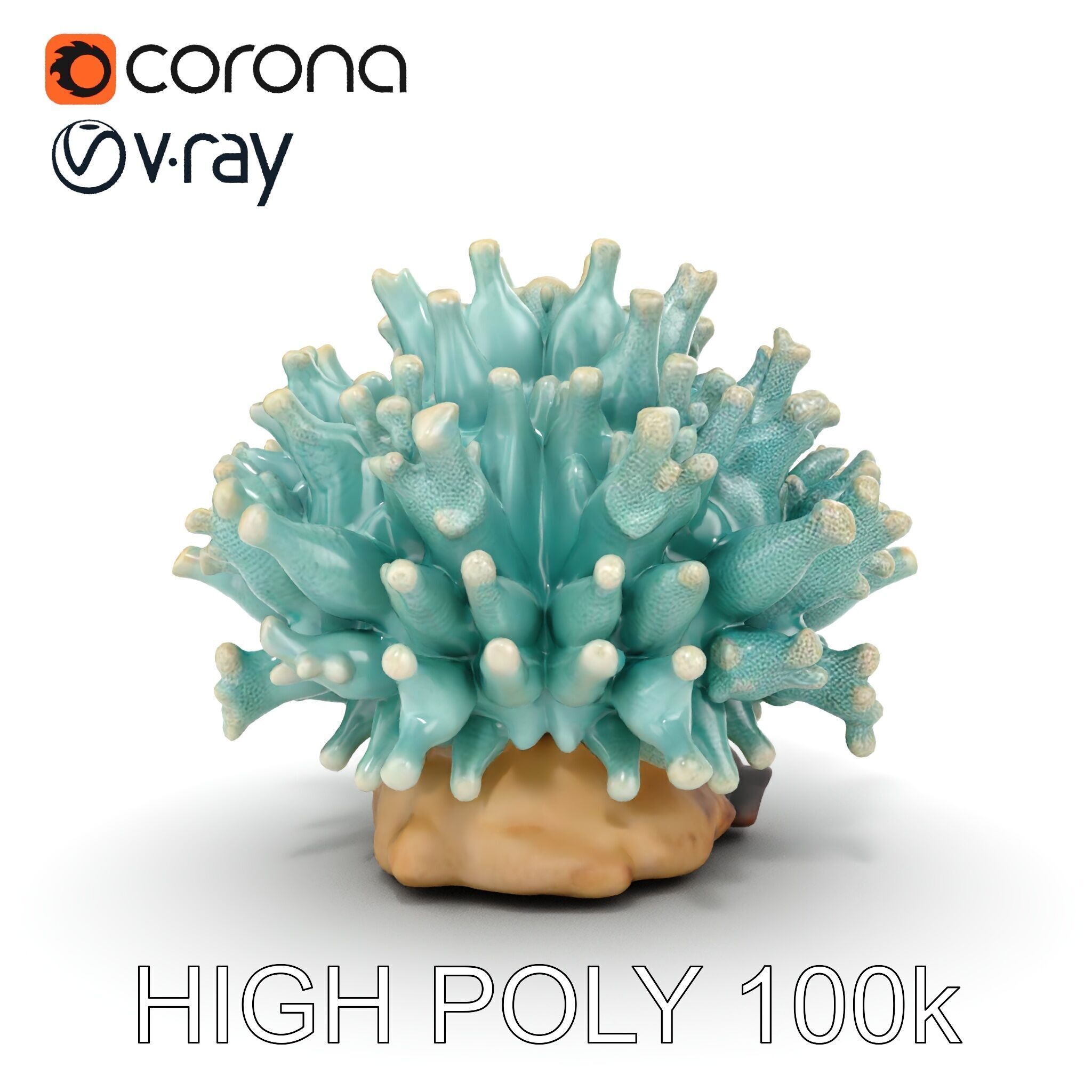 Blue Coral Reef model pack Low-poly 3D model_23