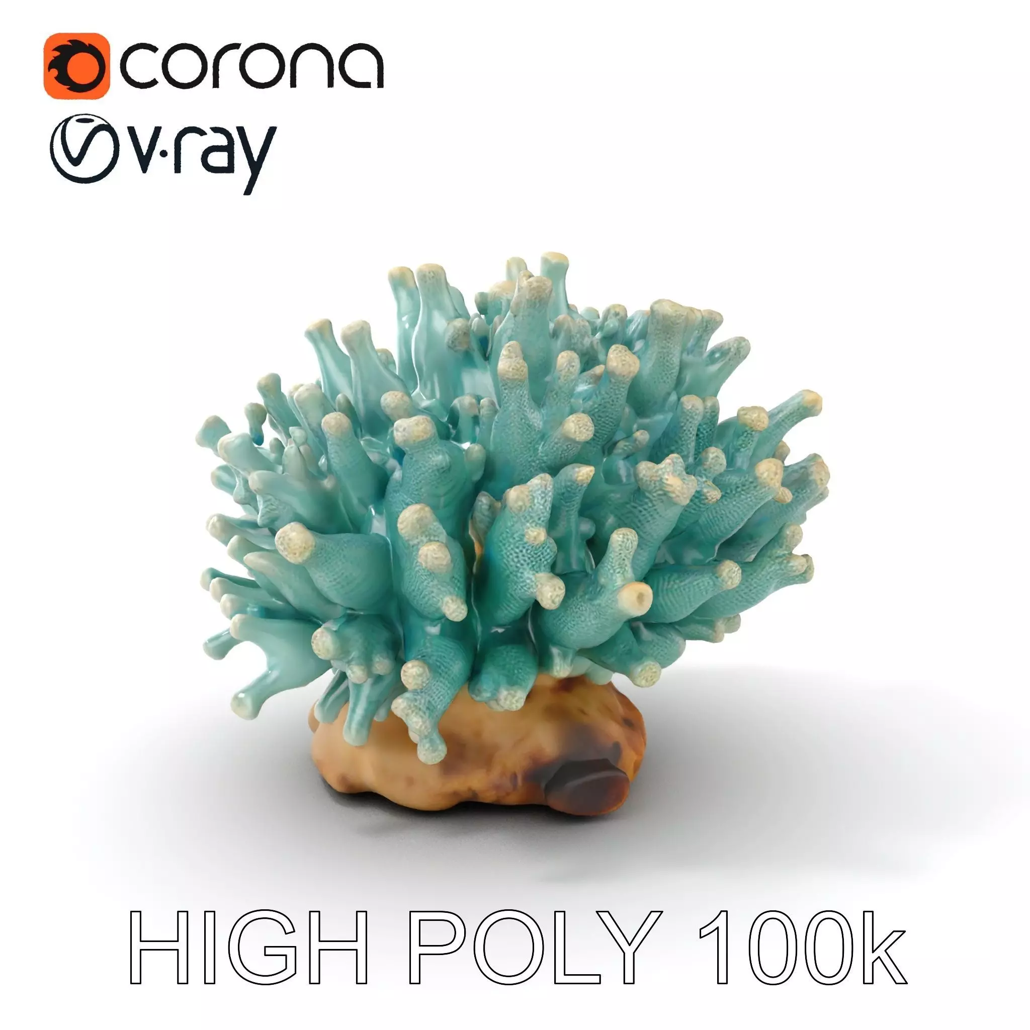 Blue Coral Reef model pack Low-poly 3D model_0