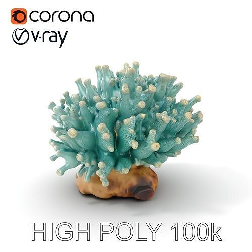 Blue Coral Reef model pack Low-poly 3D model