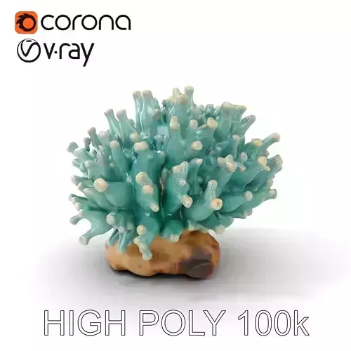 Blue Coral Reef model pack Low-poly 3D model