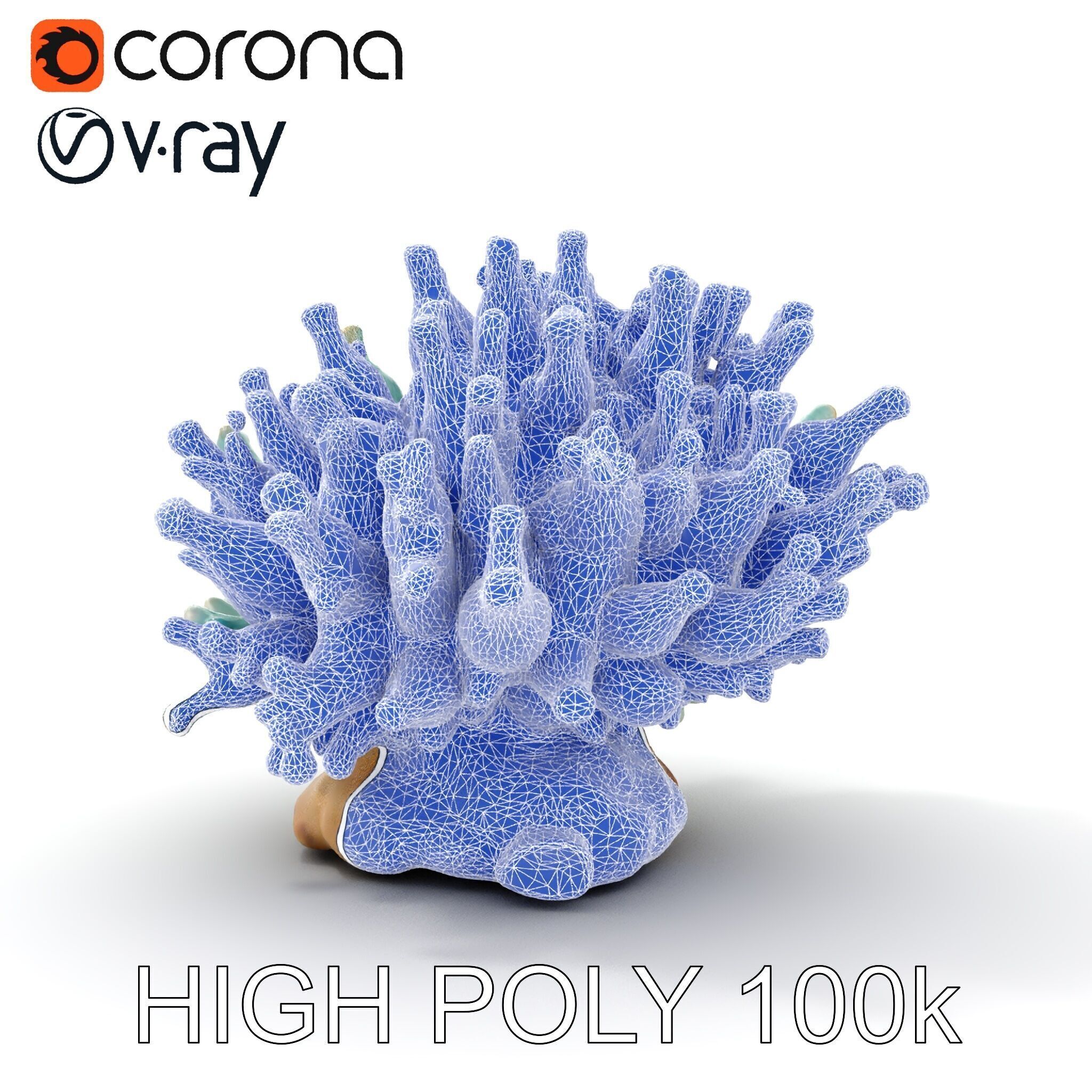 Blue Coral Reef model pack Low-poly 3D model_35