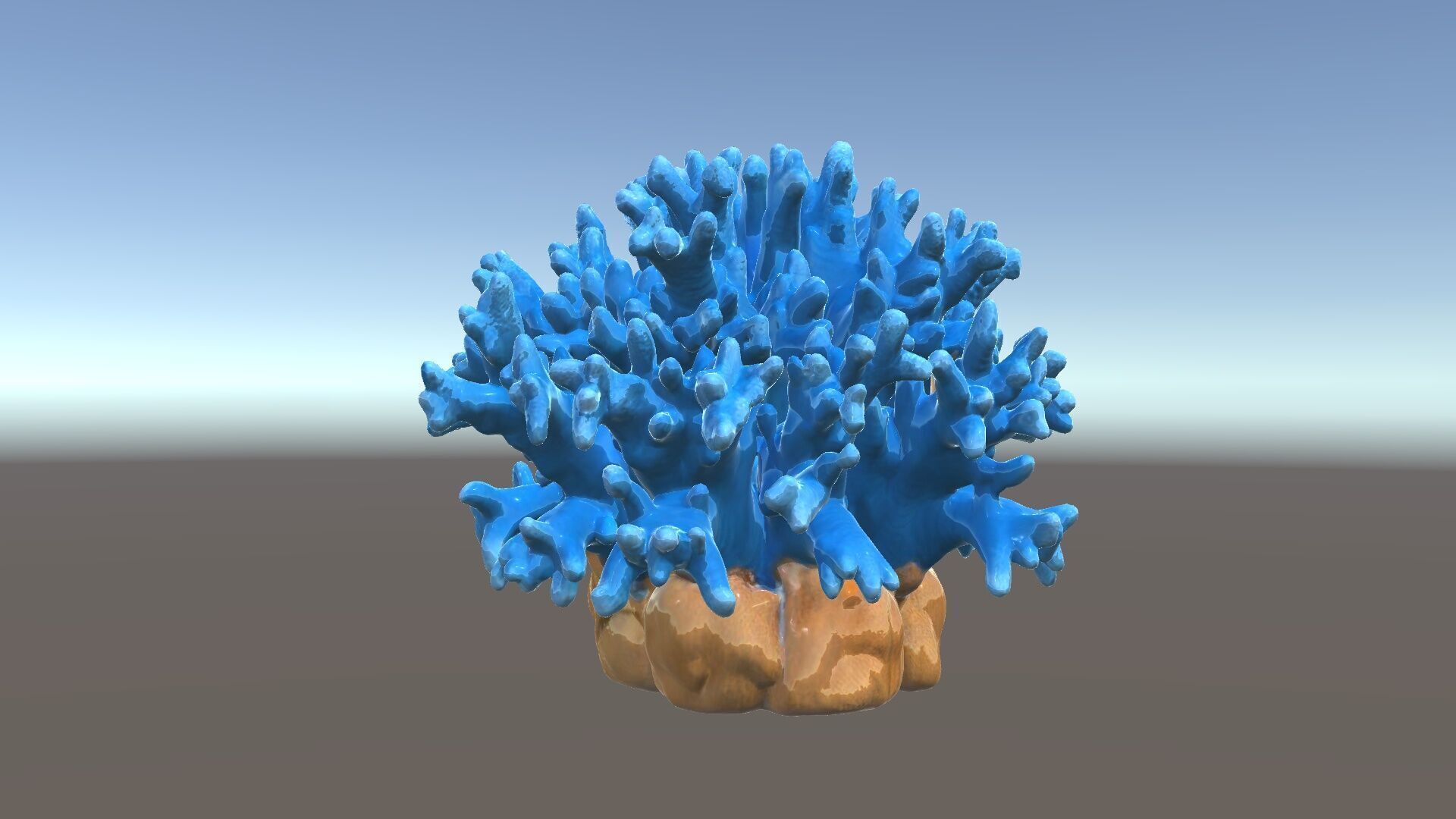 Blue Coral Reef Model Pack Low-poly 3D model_34