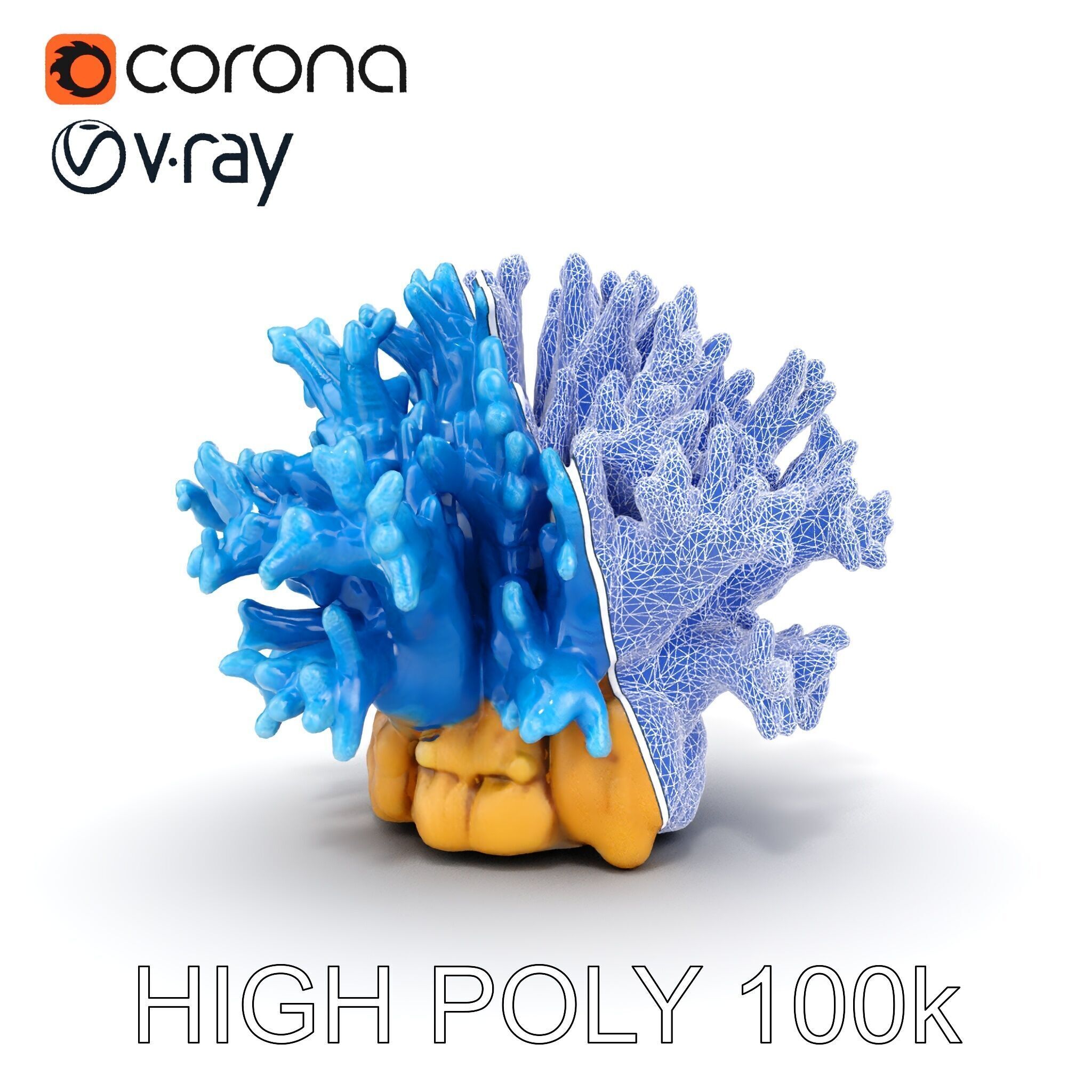 Blue Coral Reef Model Pack Low-poly 3D model_23