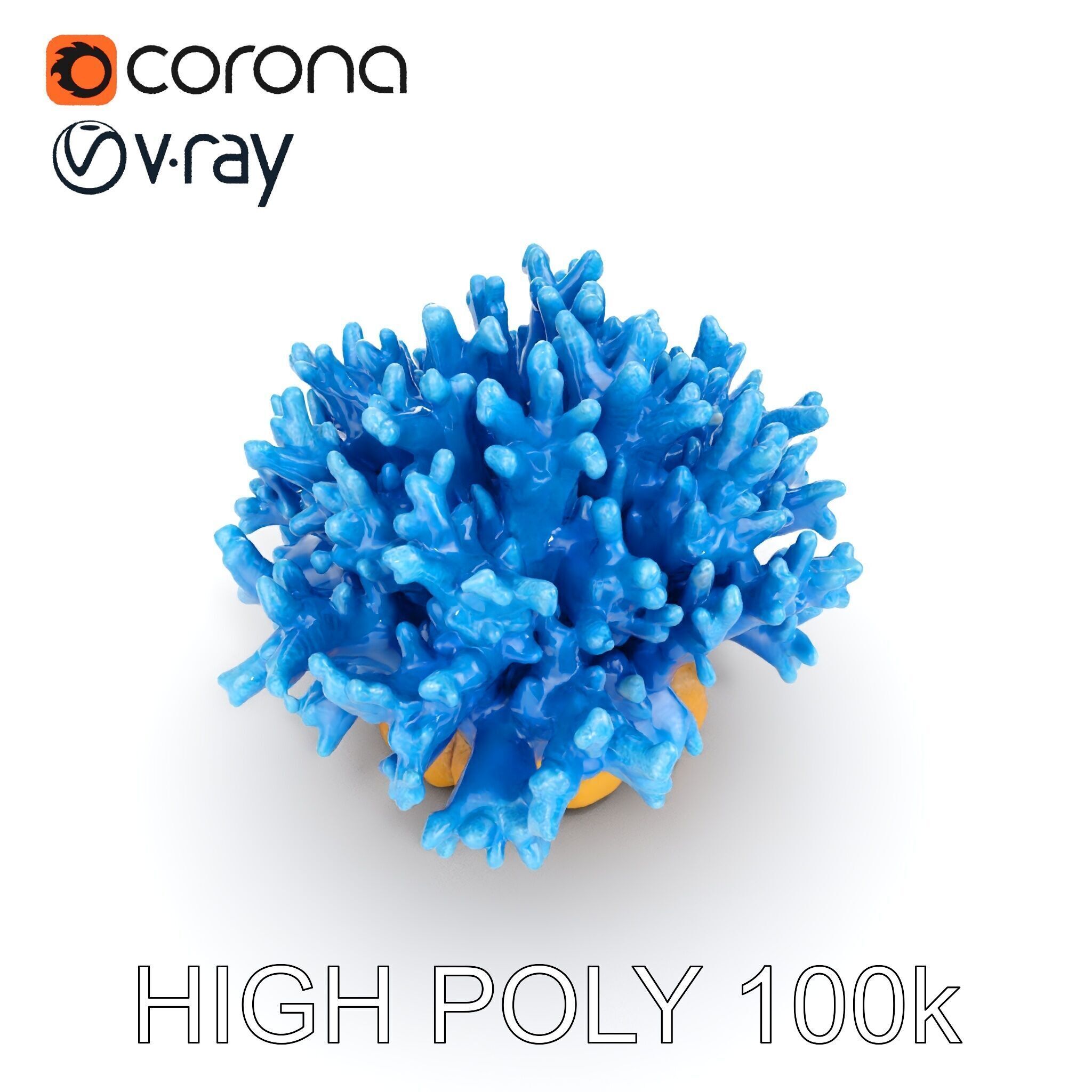 Blue Coral Reef Model Pack Low-poly 3D model_19