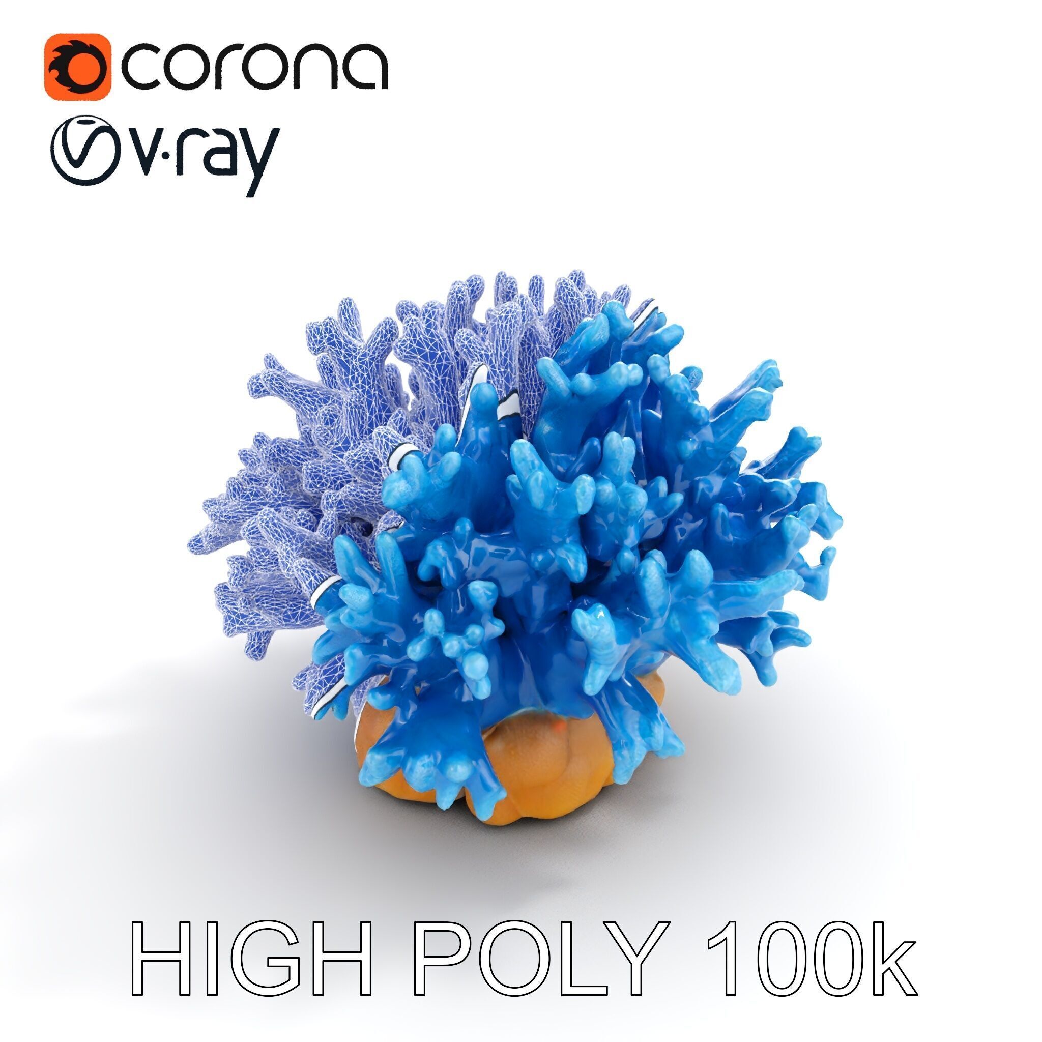 Blue Coral Reef Model Pack Low-poly 3D model_28