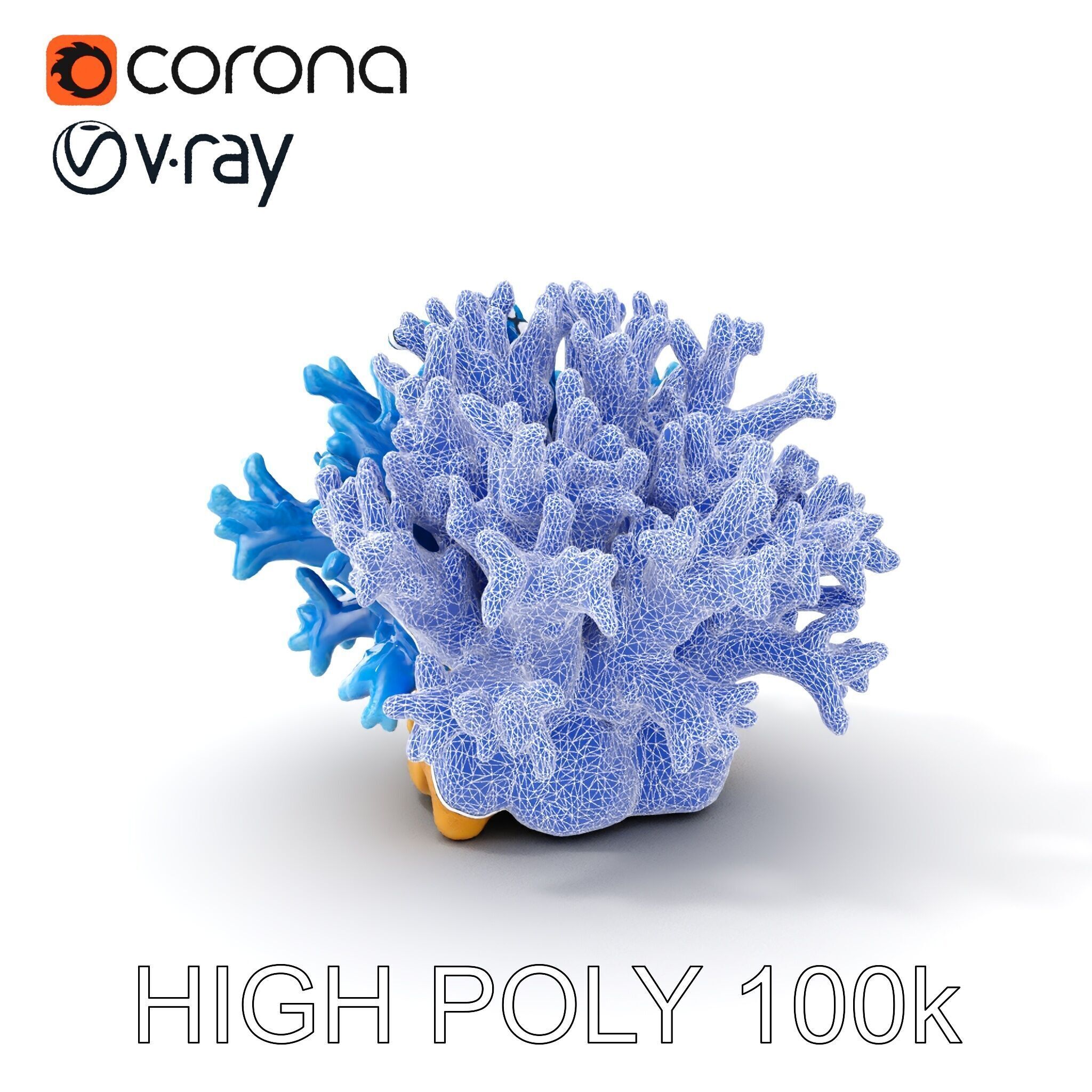 Blue Coral Reef Model Pack Low-poly 3D model_4