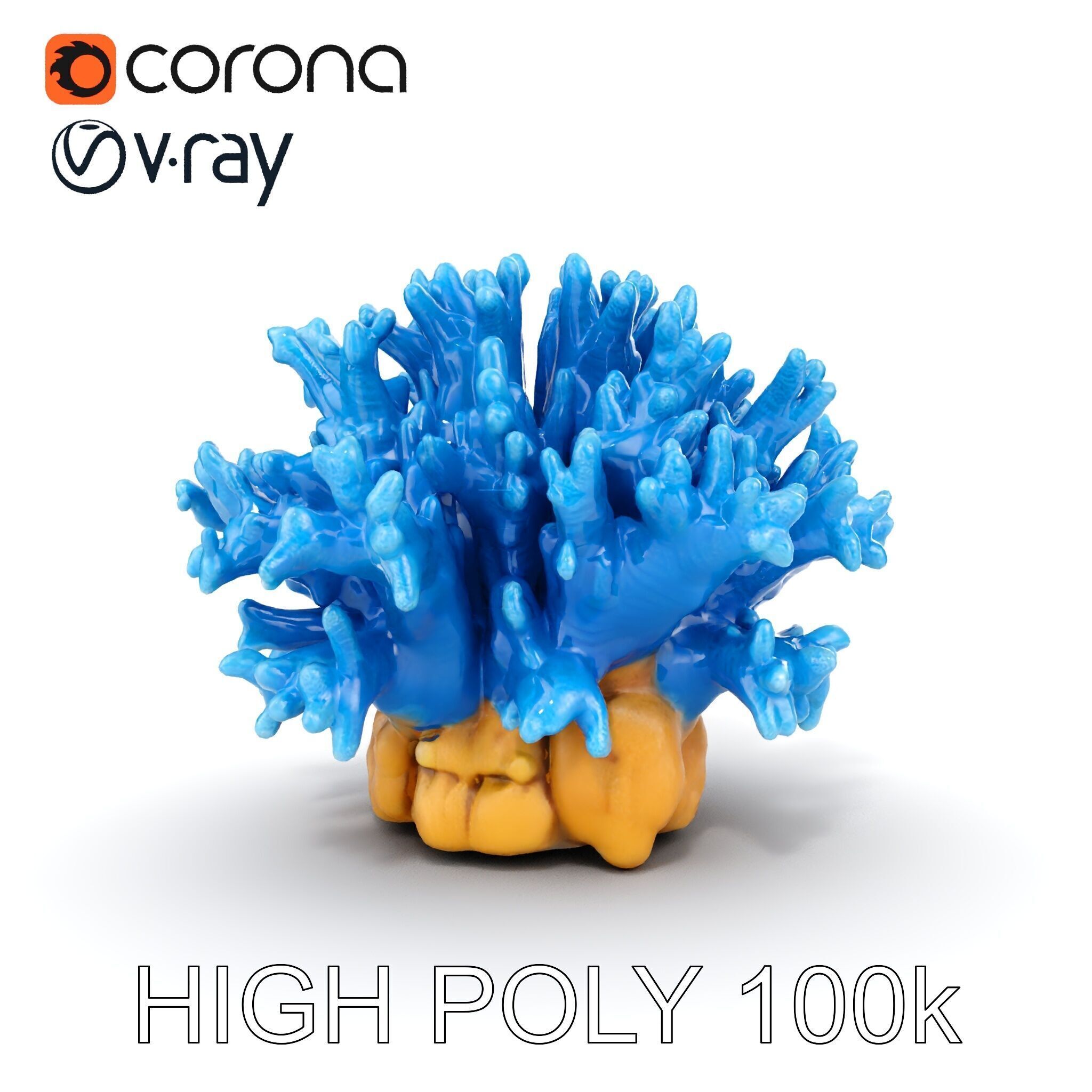 Blue Coral Reef Model Pack Low-poly 3D model_15